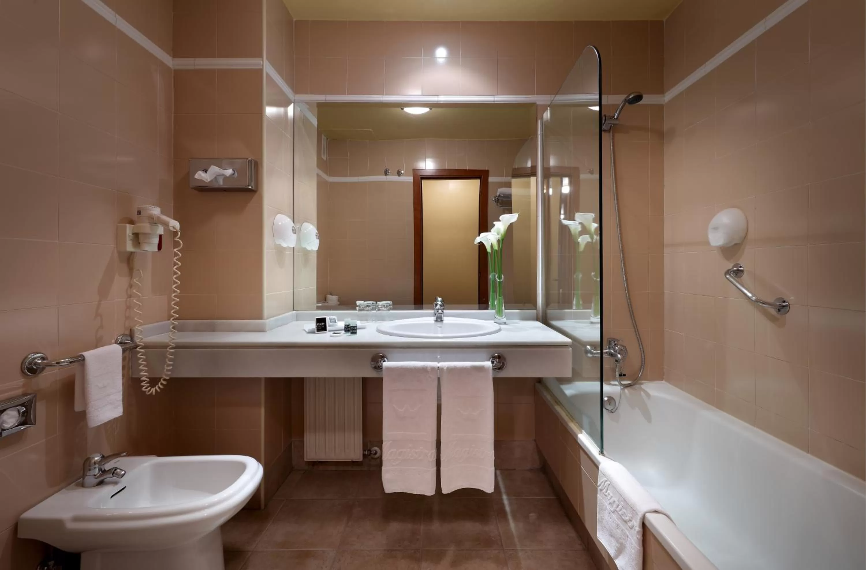 Shower in Exe Hotel El Magistral