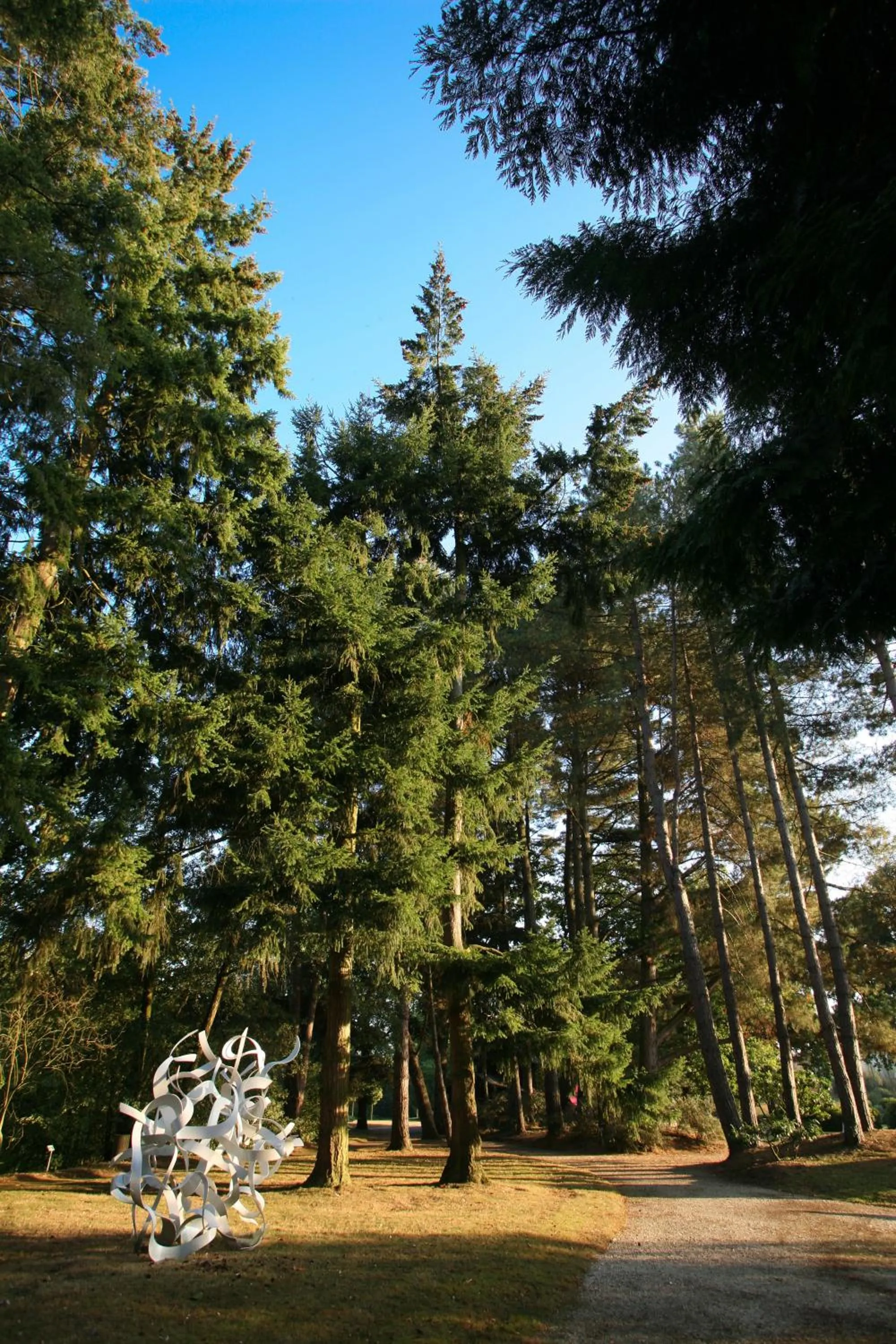 Natural landscape in Hôtel Restaurant Ar Milin-Logis hôtels