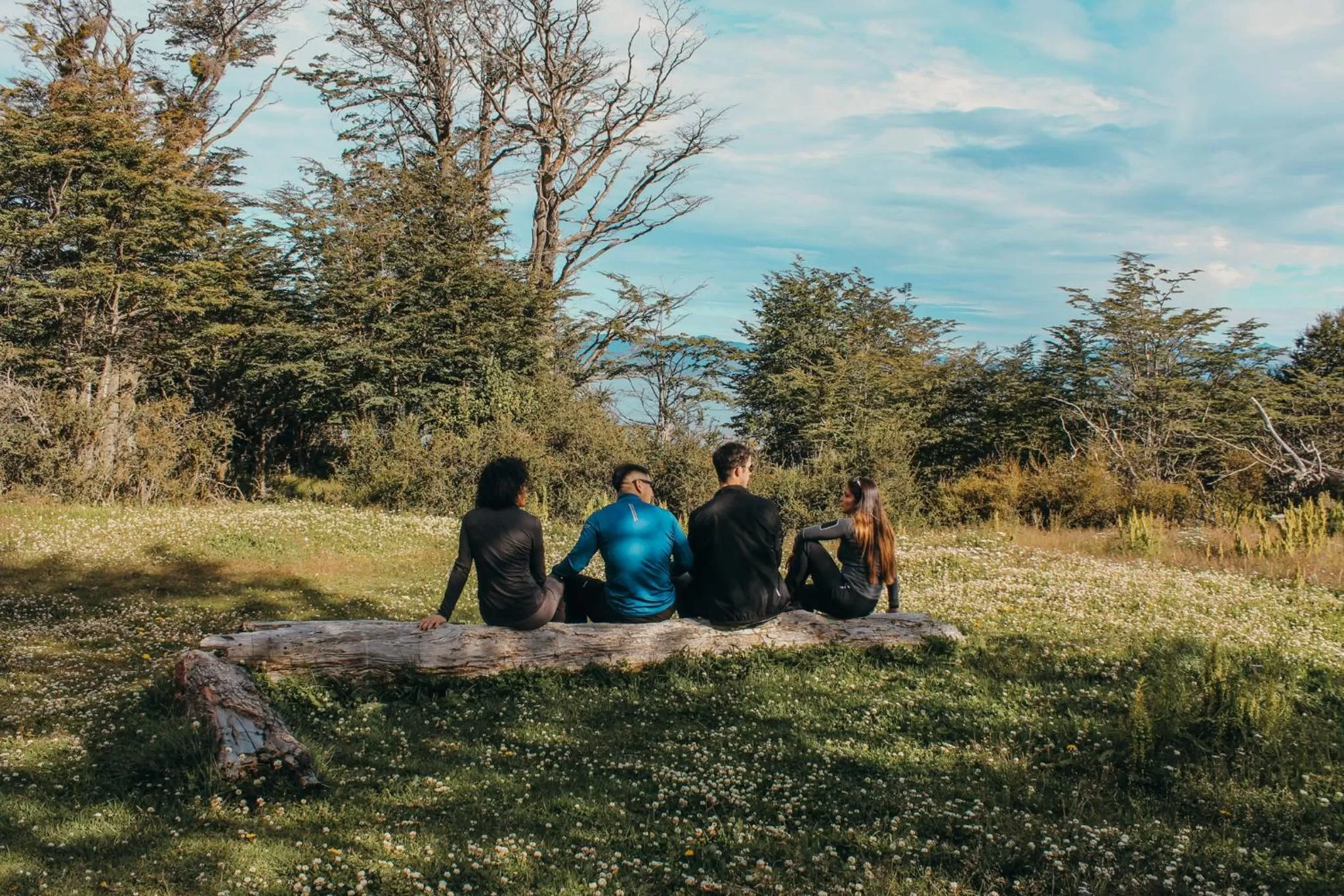 Day in Los Ñires Ushuaia