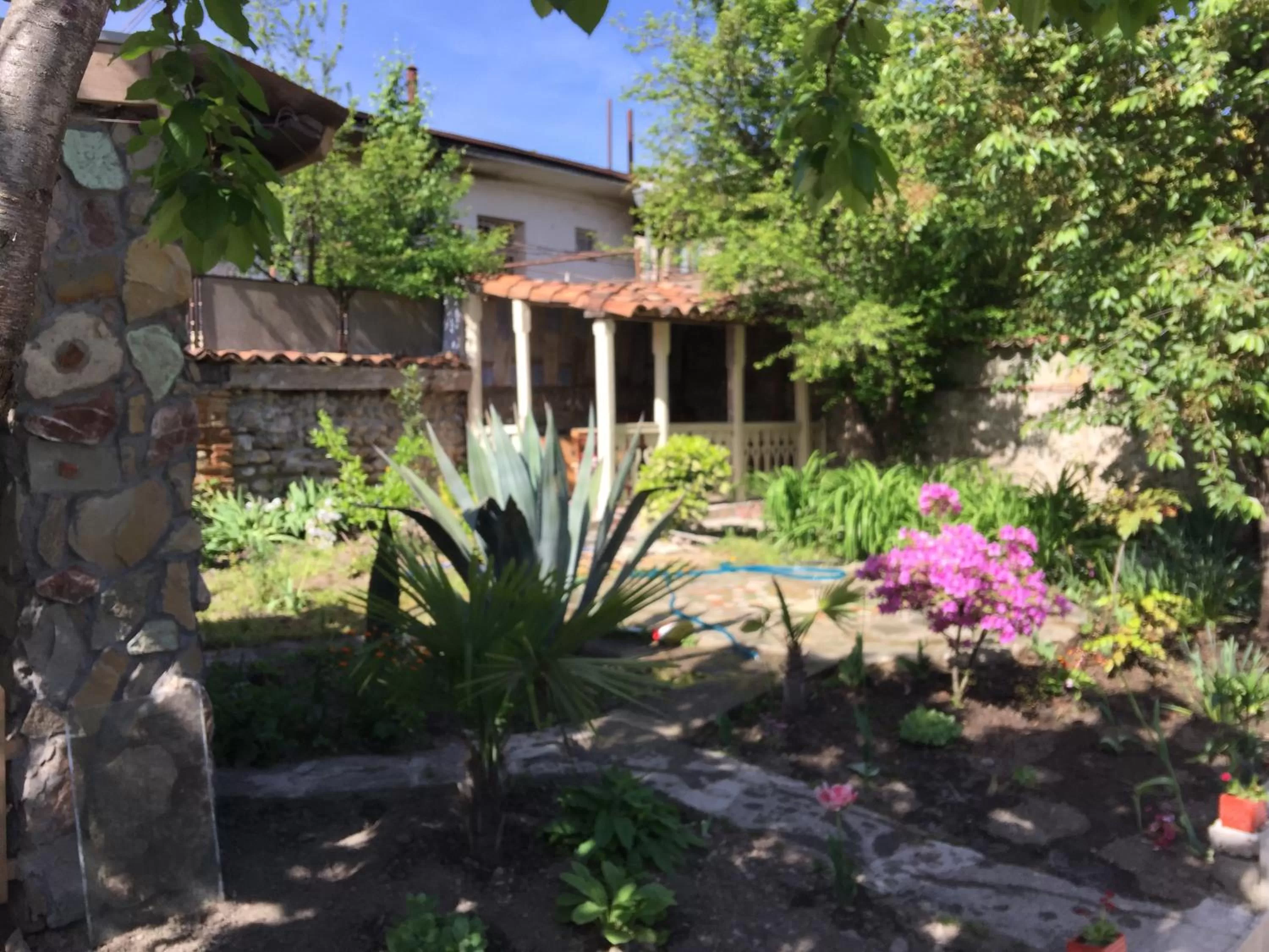 Property Building in Nika's Guest House