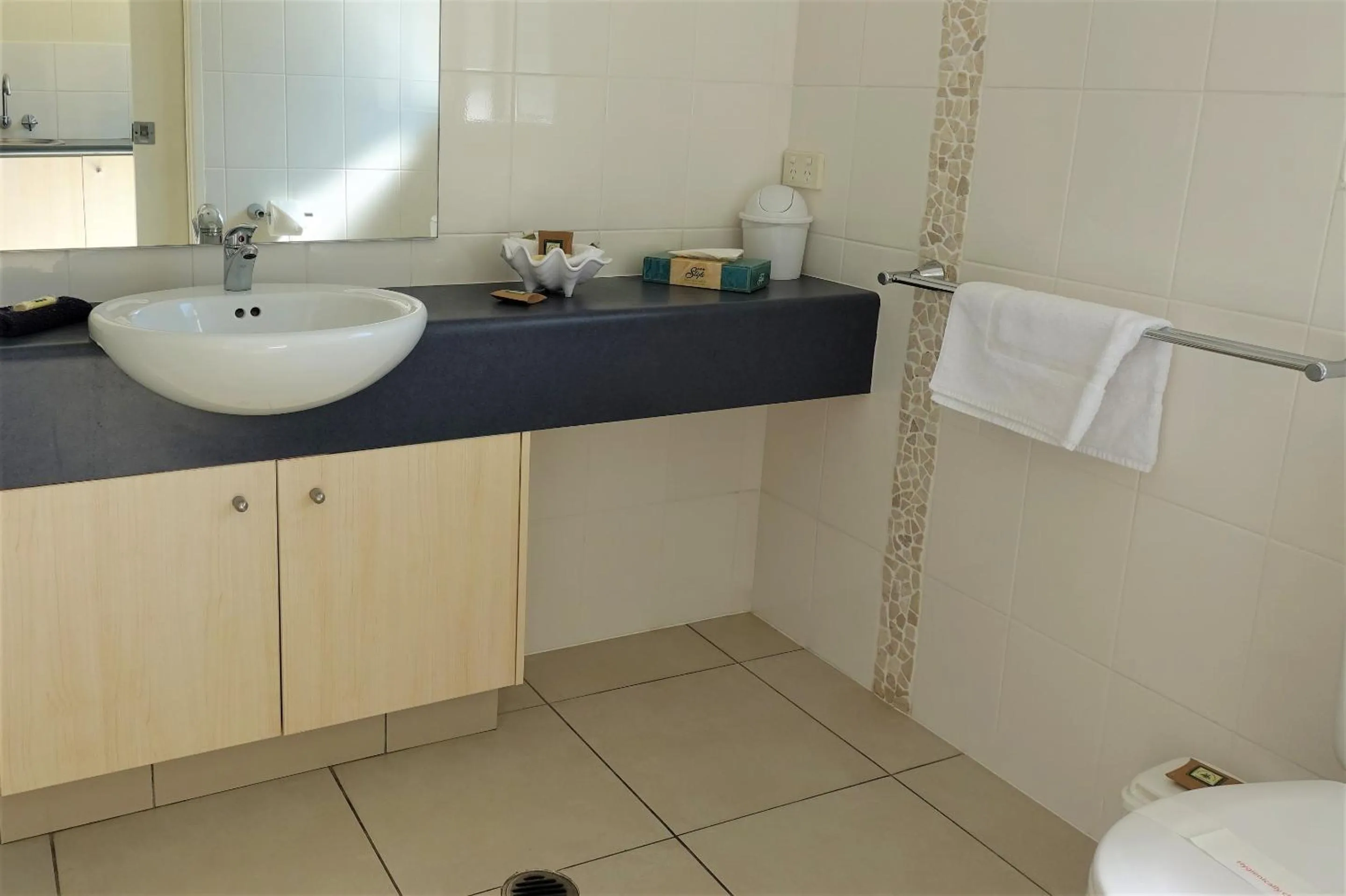 Bathroom in Pacific Palms Motor Inn