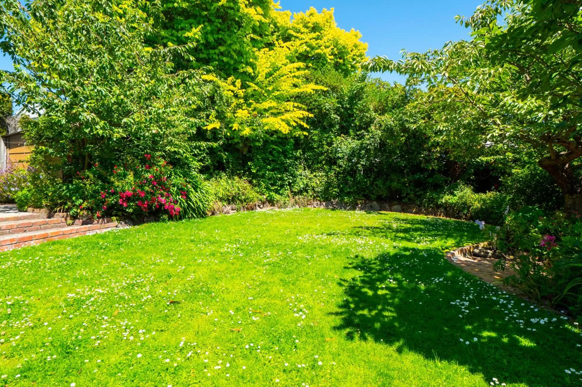 Living room, Garden in The Ocean Breeze CBD