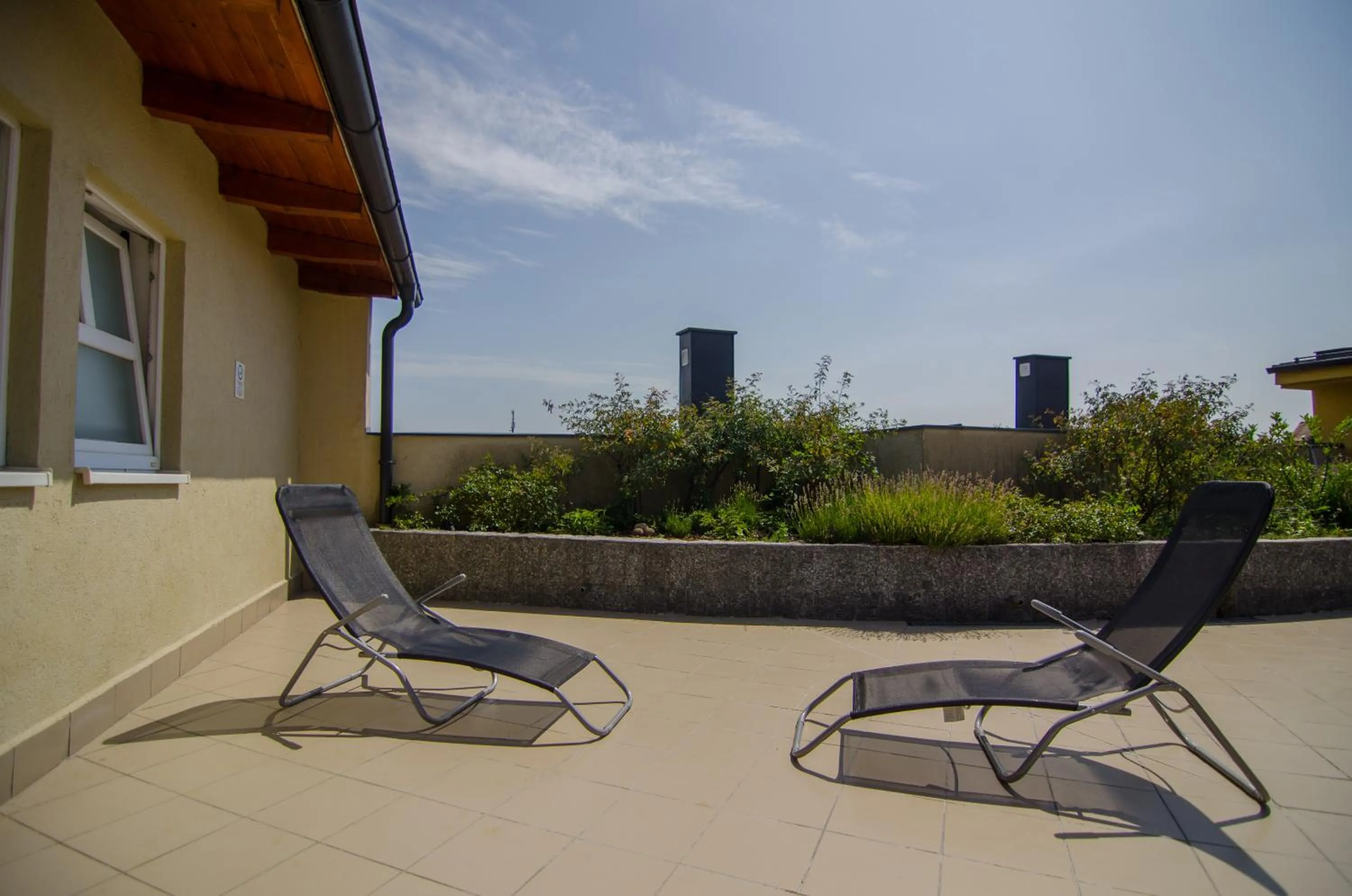 Area and facilities in Hotel Civitas