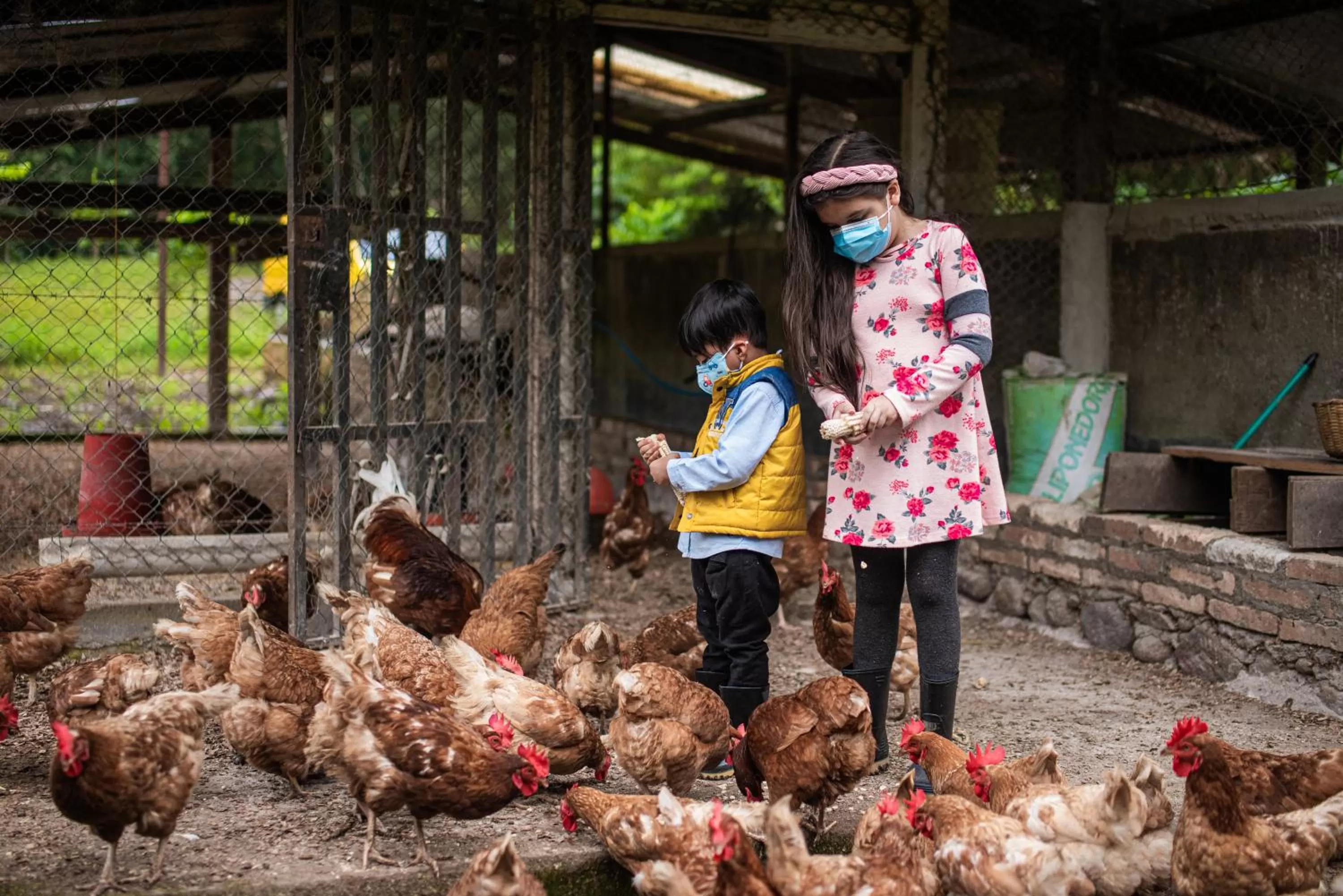 Entertainment, Children in Hotel de Campo Villa de Ada