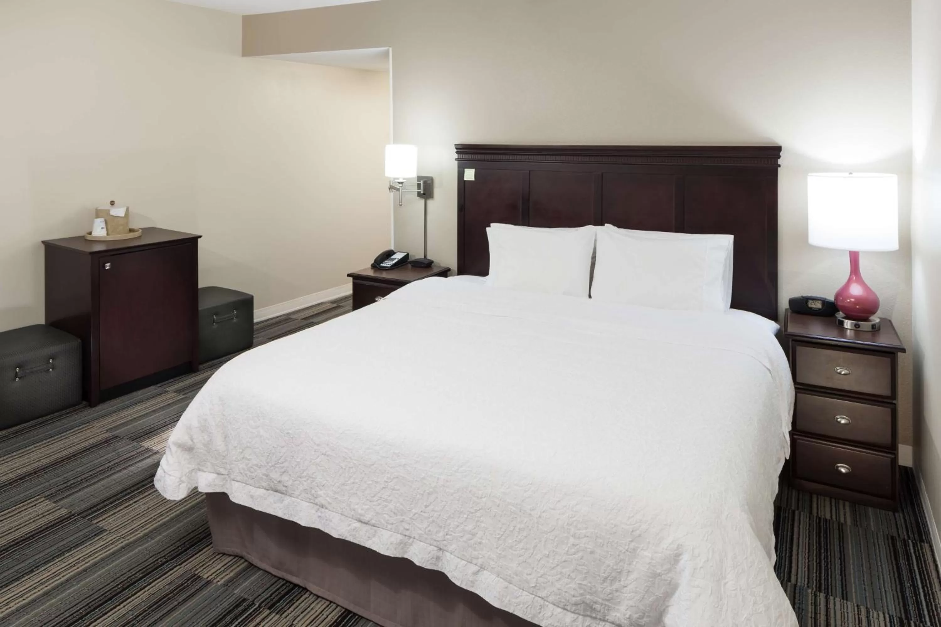 Queen Room - Disability Access Hearing Accessible in Hampton Inn & Suites Omaha-Downtown