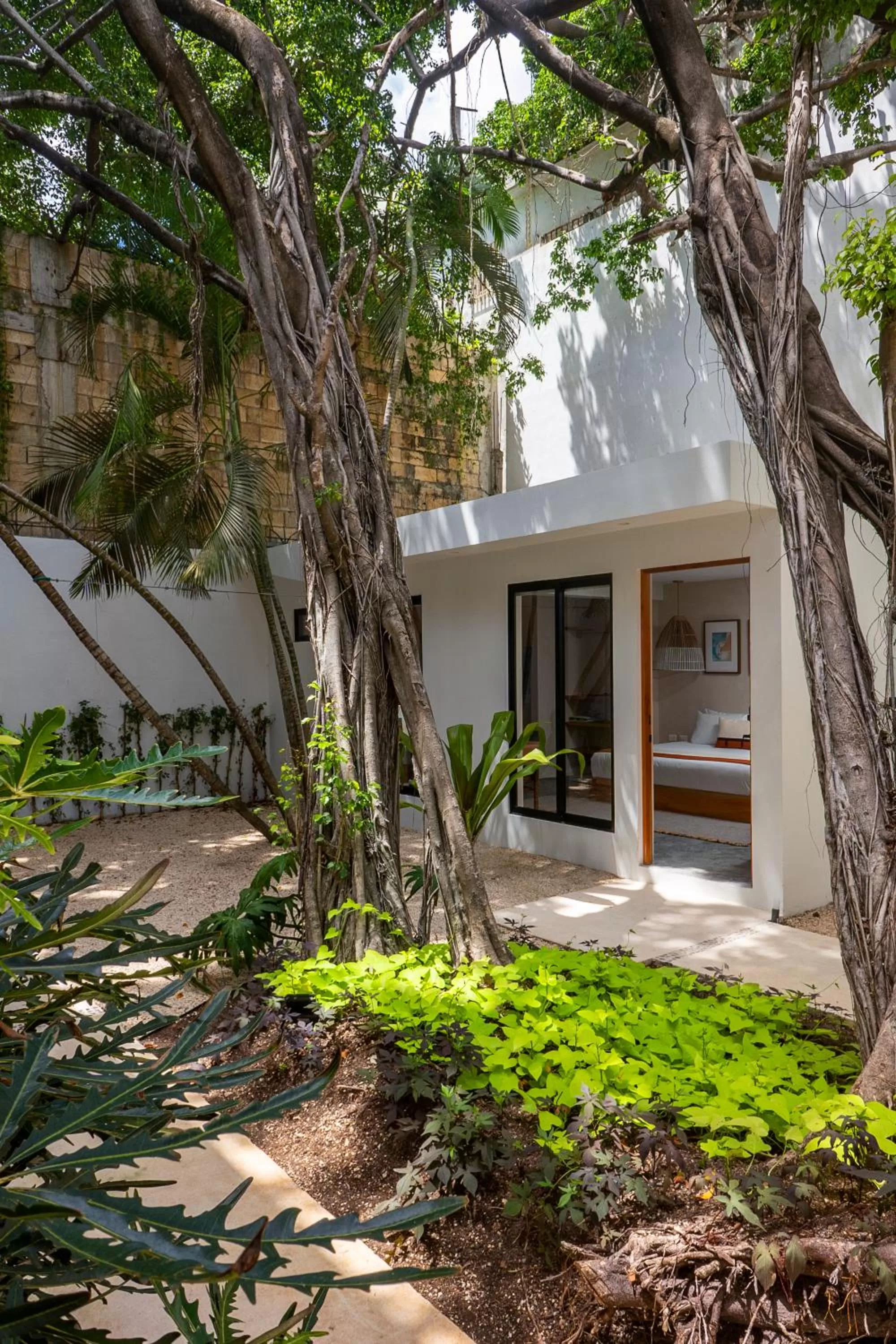 Garden in Hotel Aalada Playa del Carmen