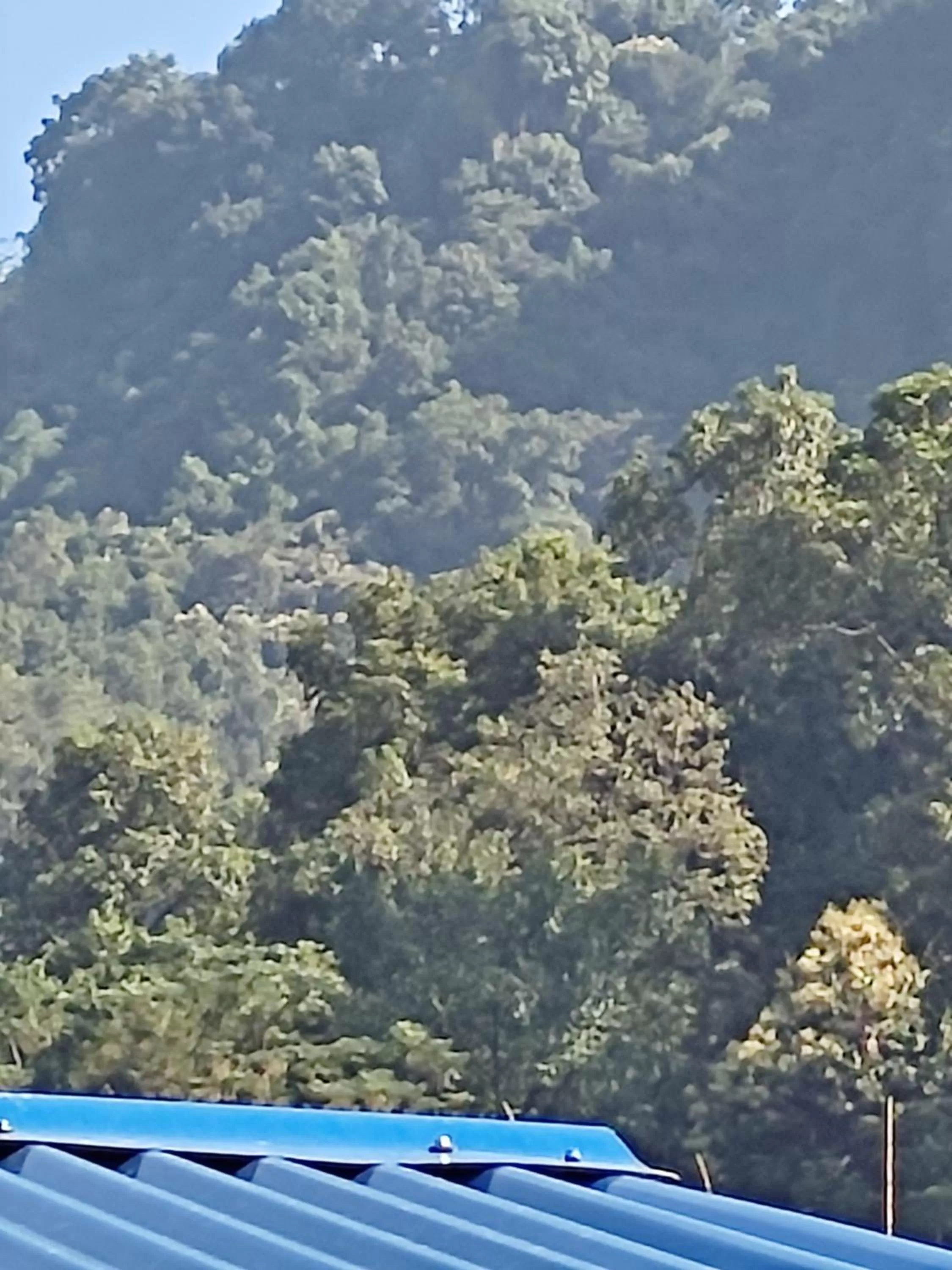 Hotel Green Hill View