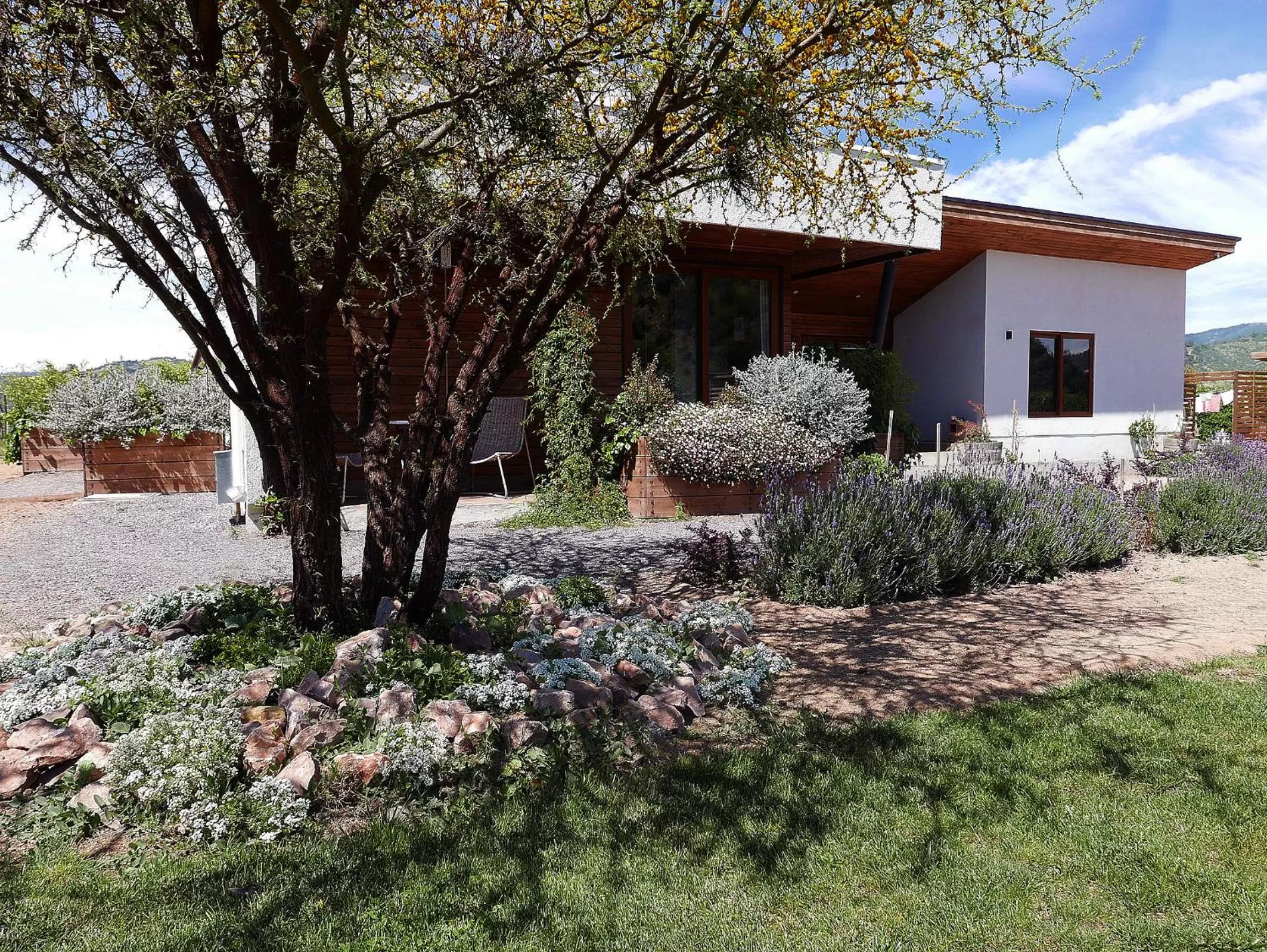 Garden in Callihue Lodge