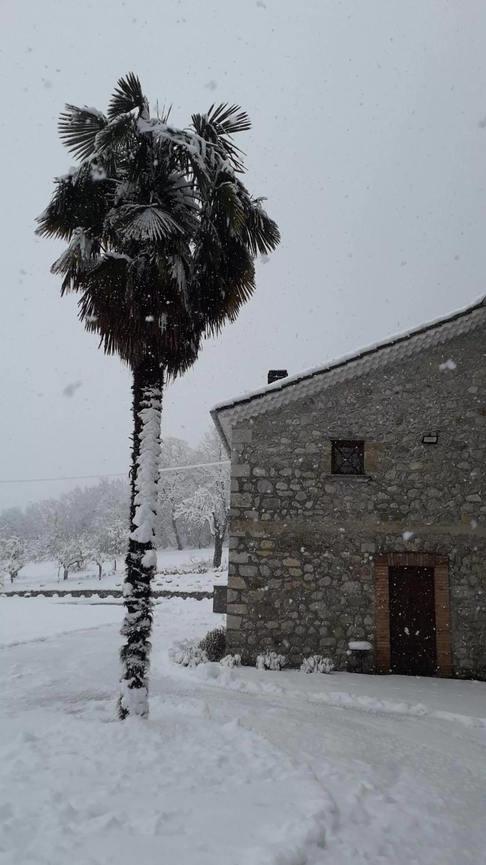 Masseria boutique b&b