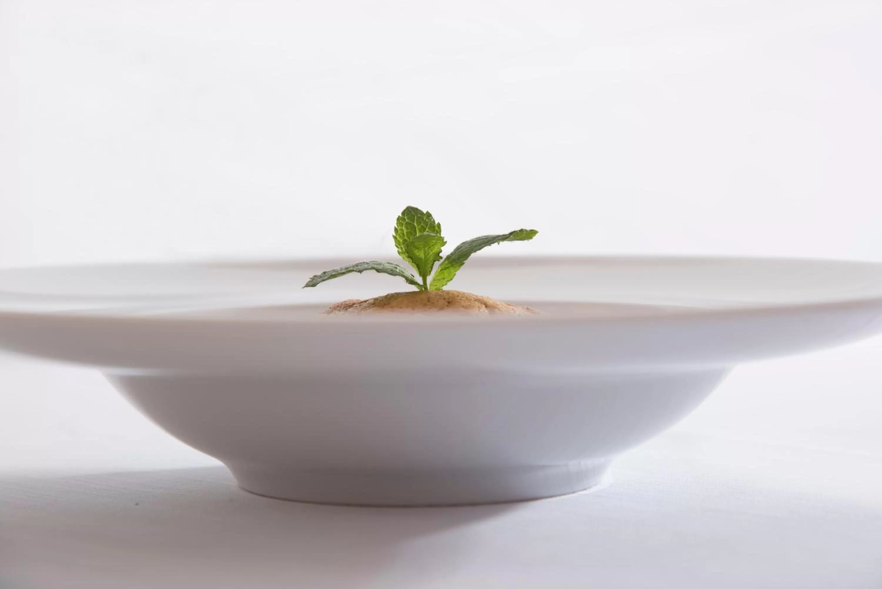 Restaurant/places to eat in Hotel la Colletta