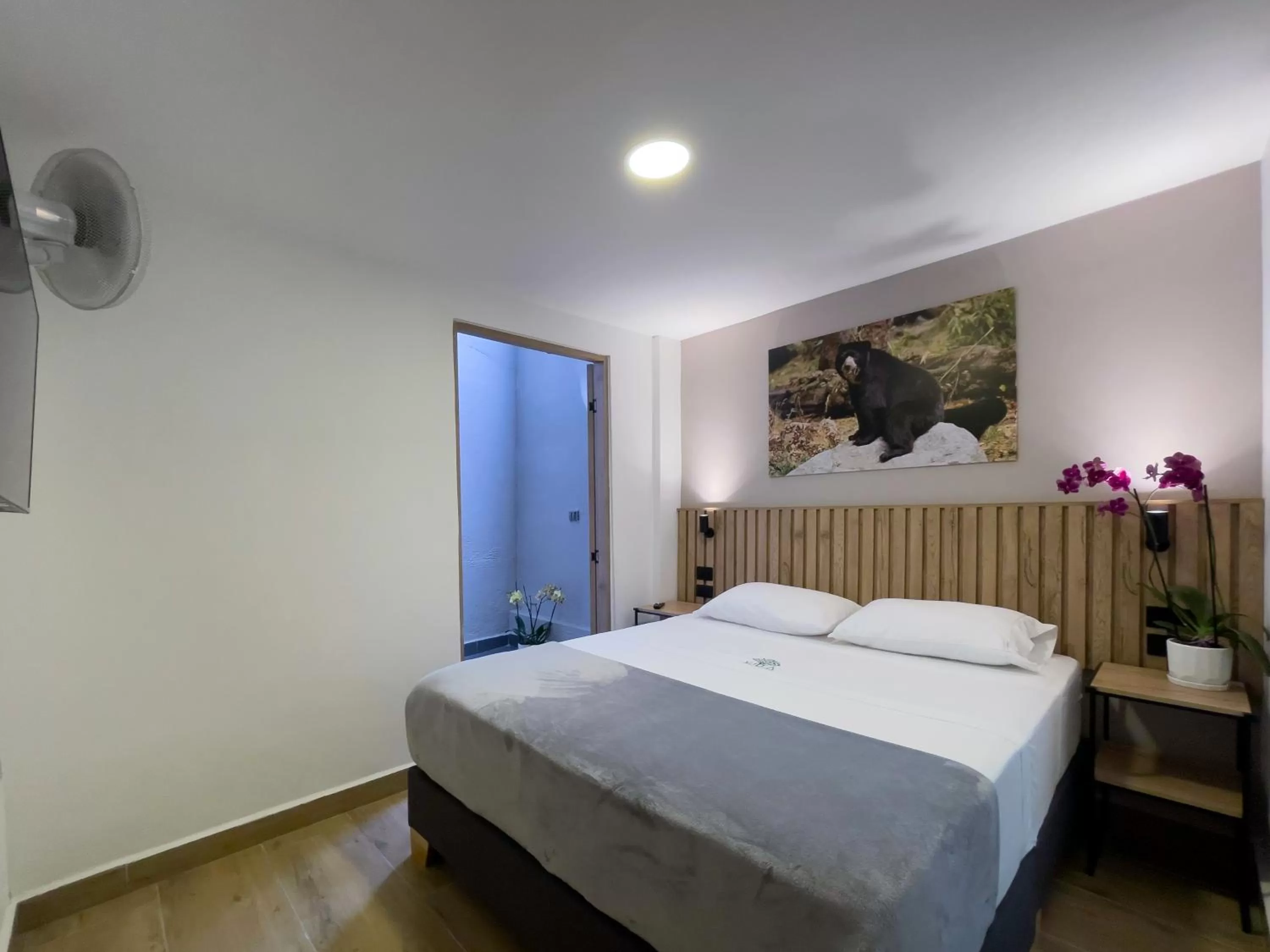 Deluxe Queen Room in Vita Hotel Boutique - Aire Acondicionado & Desayuno