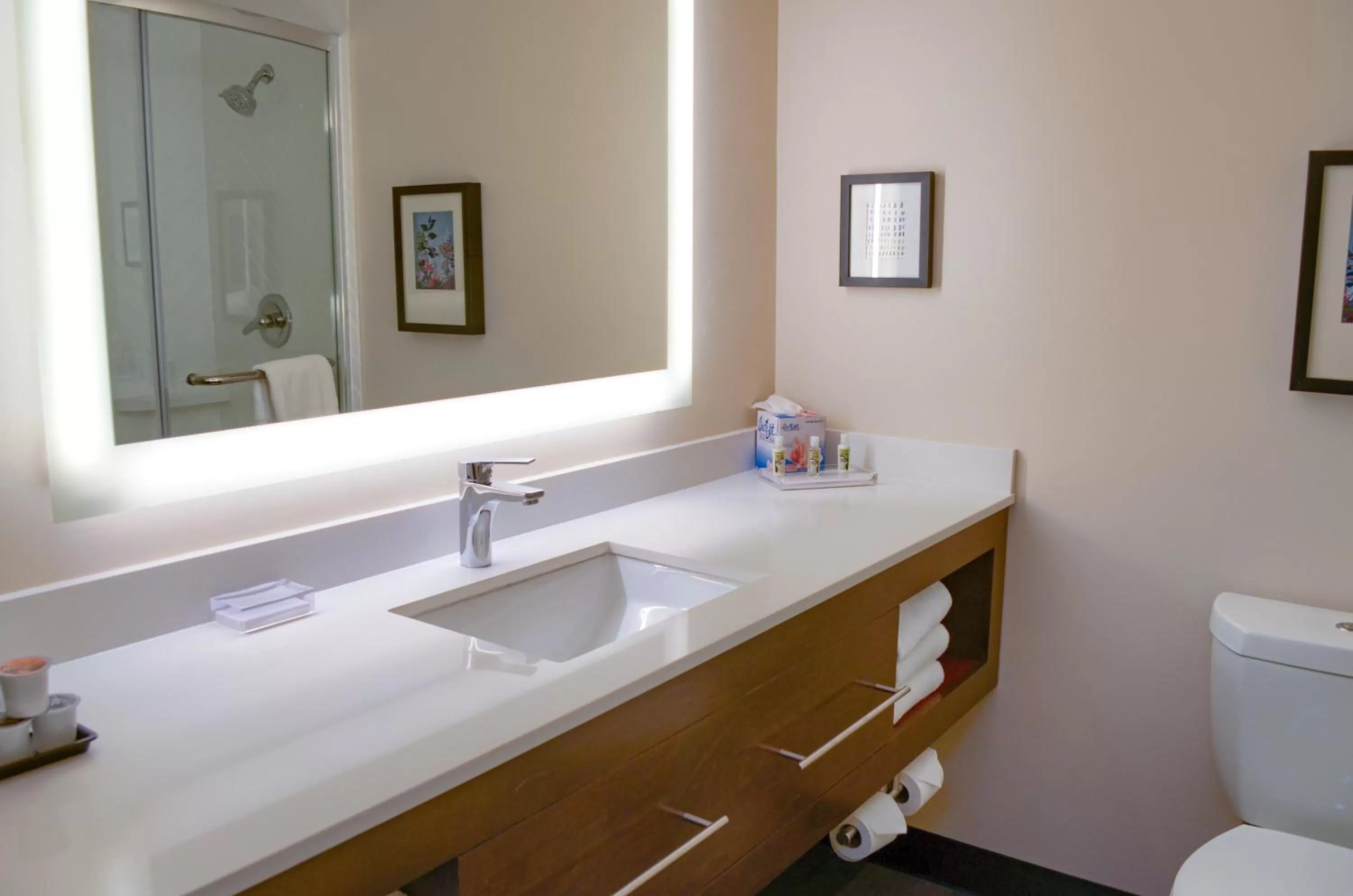 Photo of the whole room in Holiday Inn Mobile West I-10 by IHG