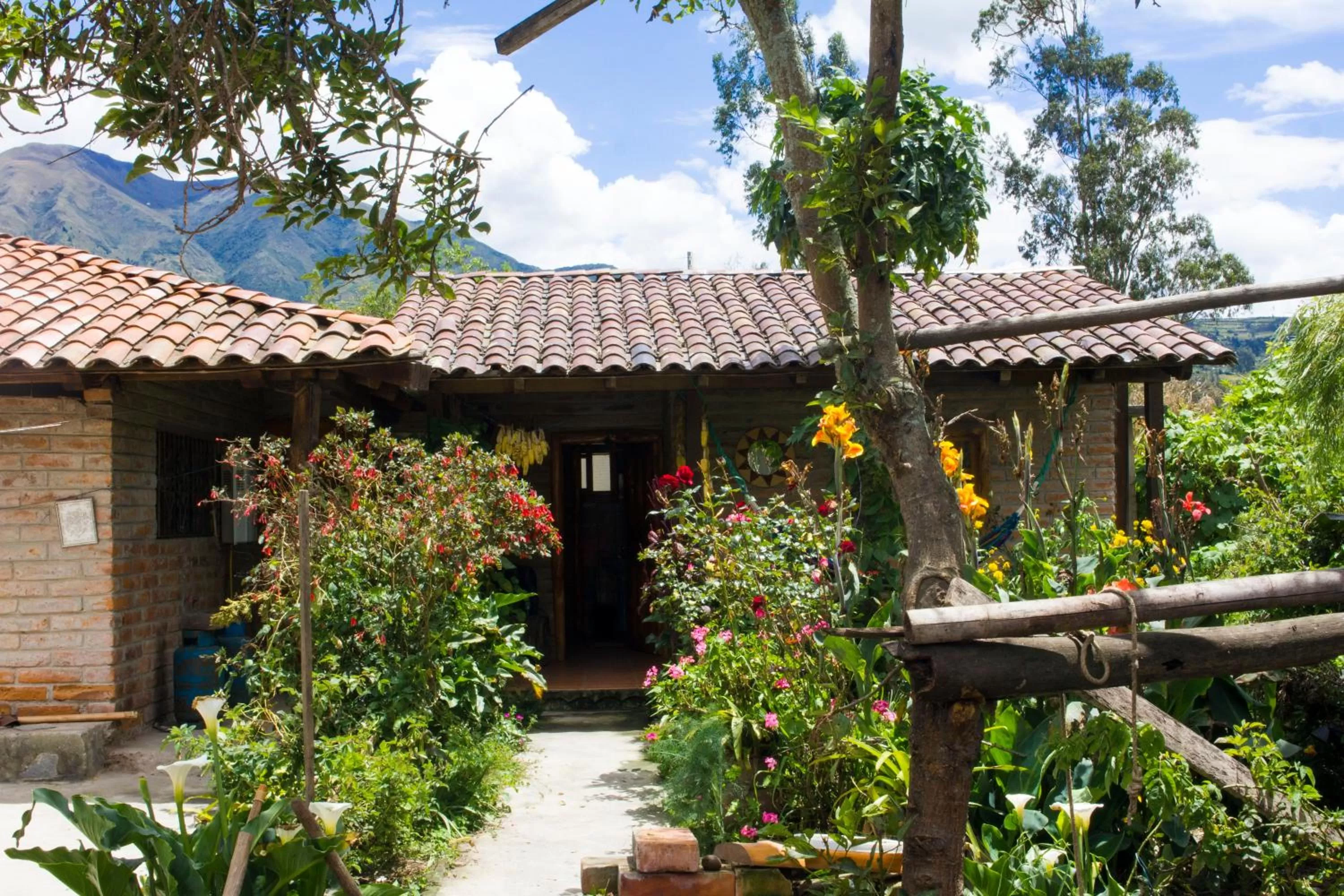 Property building in Kallpa Wasi