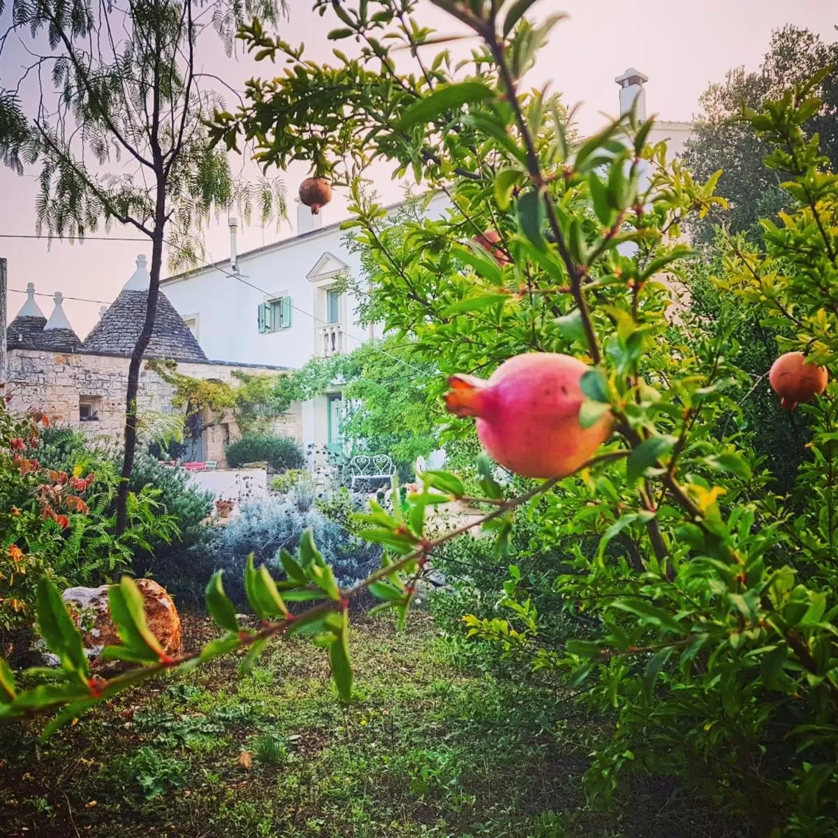 Property building in B&B Giovannarolla Green House