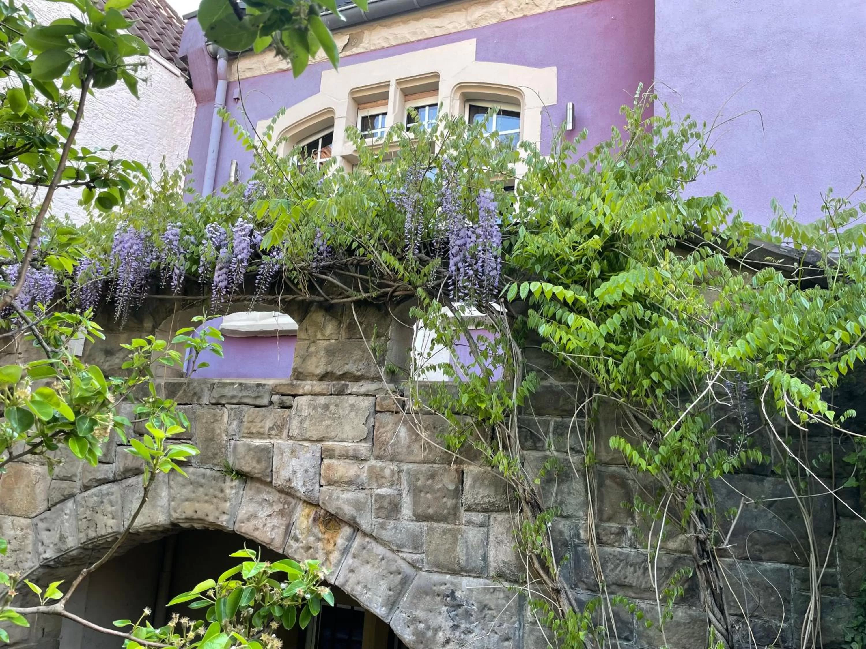 Property building in Jugendstil-Hof