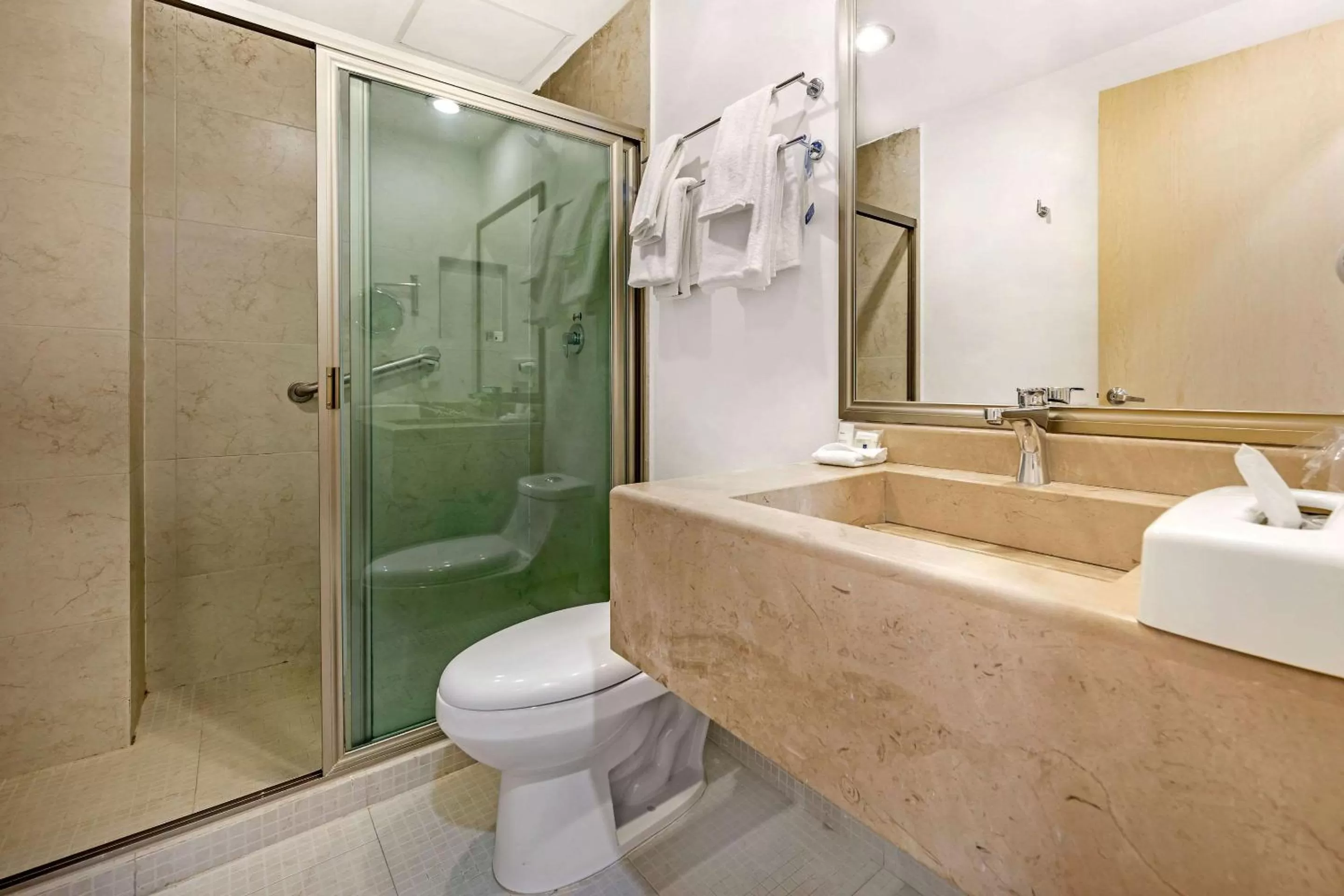 Deluxe King Room in Sleep Inn Tuxtla