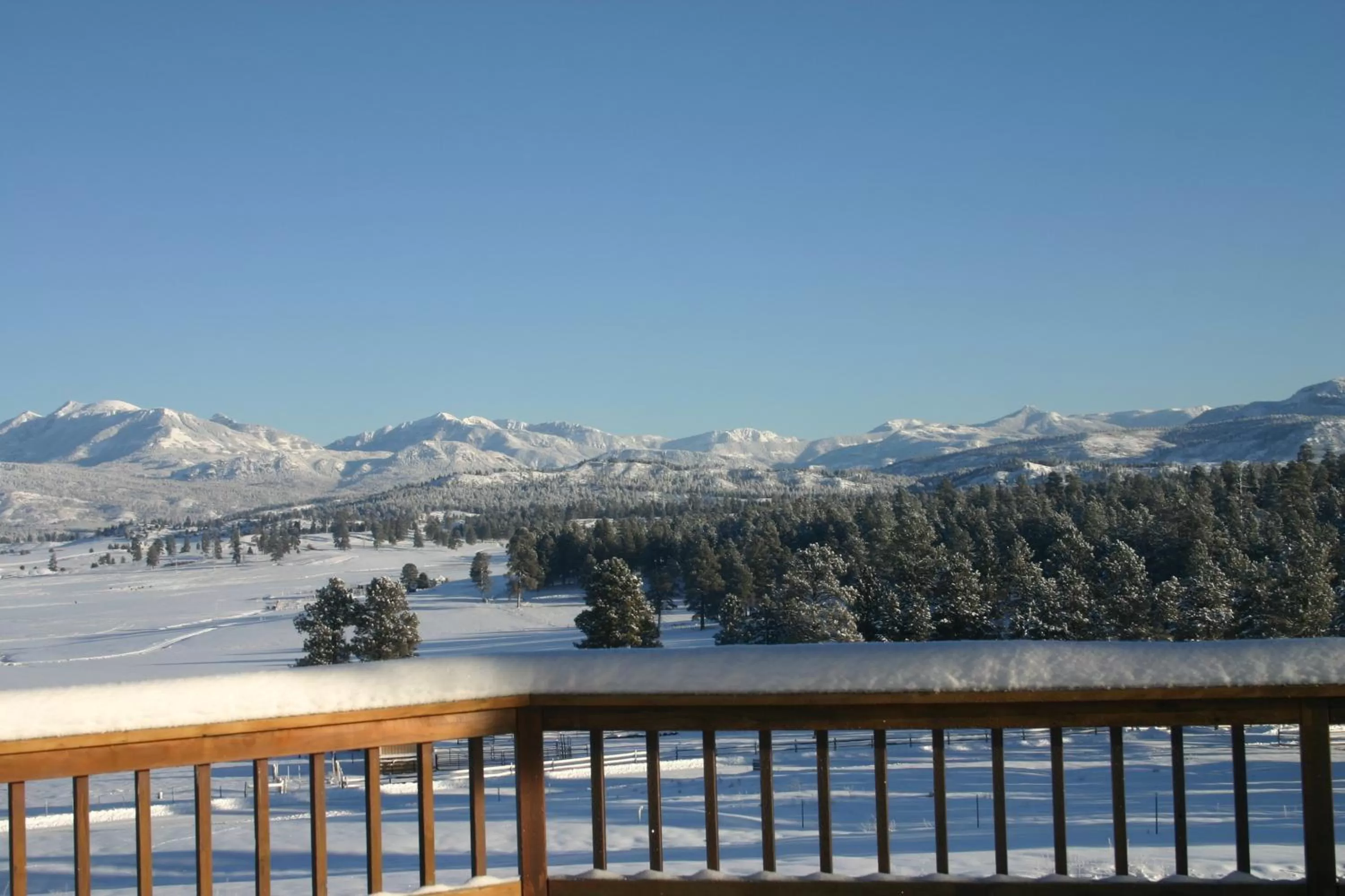 Day, Winter in Elkwood Manor Bed & Breakfast