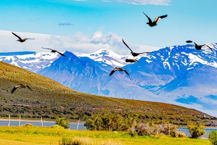 Hostería El Galpón Del Glaciar