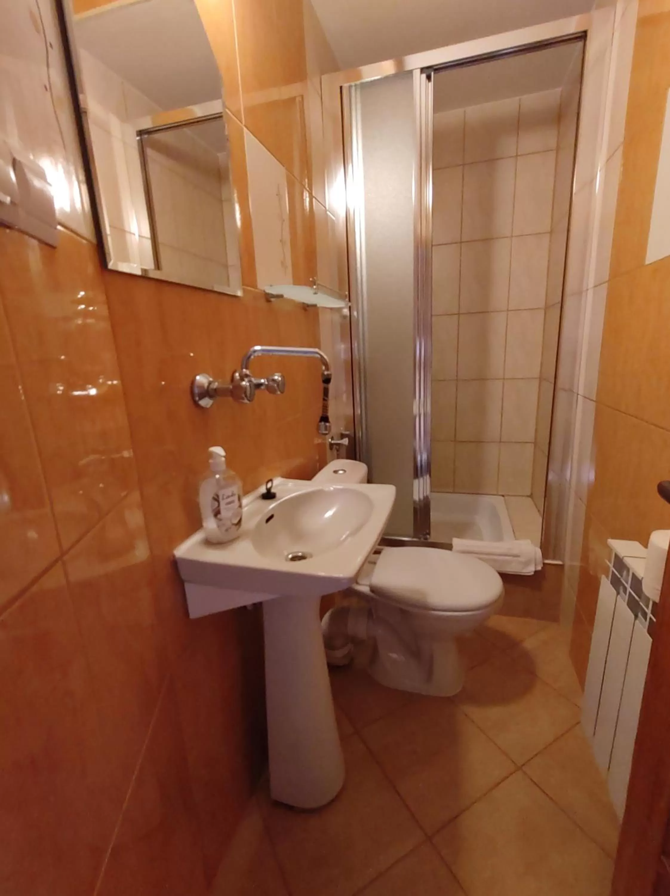 Bathroom in Noclegi U Reni