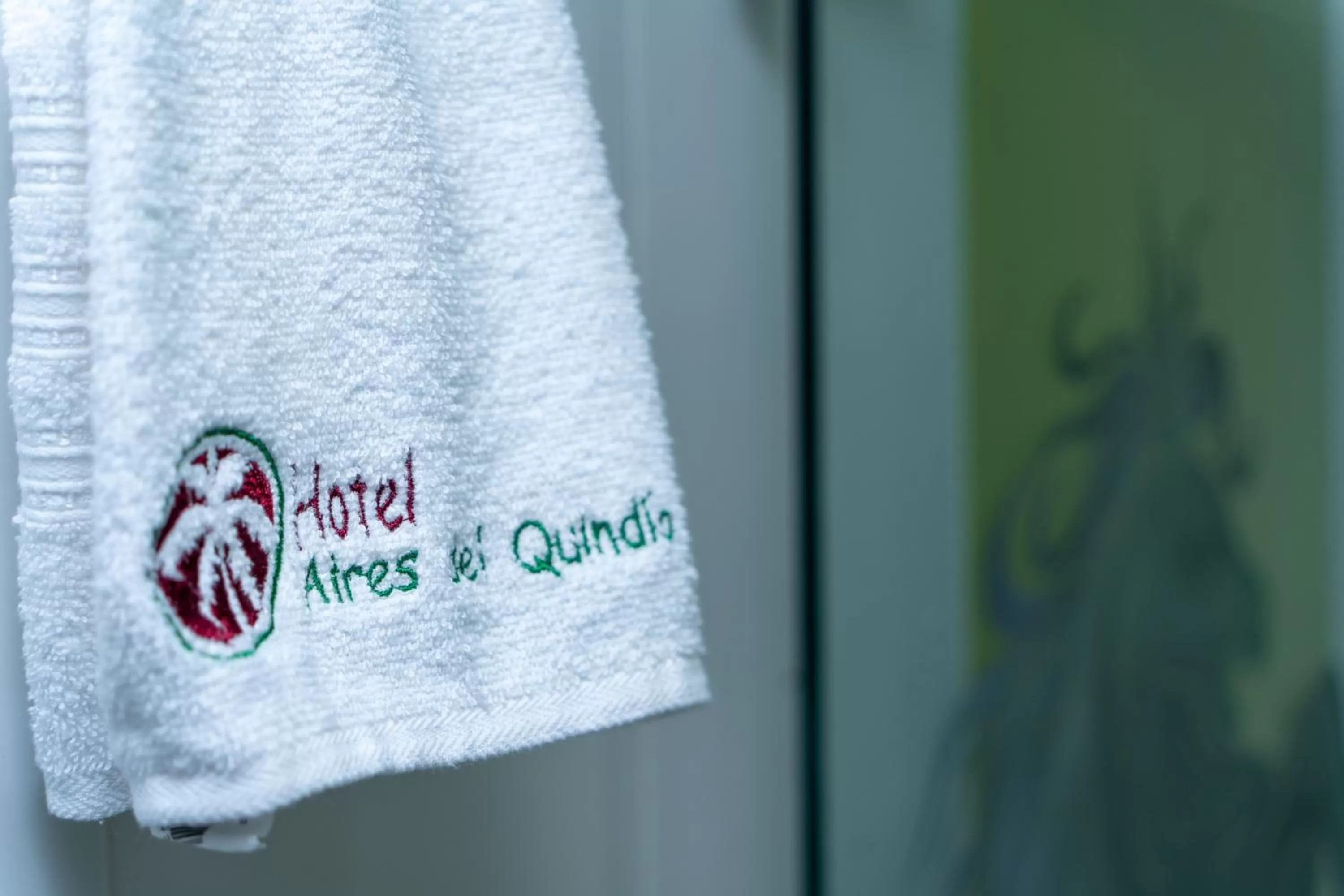 Decorative detail in Hotel Aires del Quindío Armenia