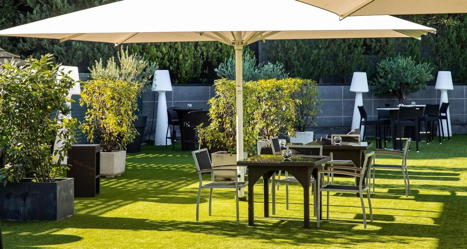 Garden in Hotel Nuevo Boston