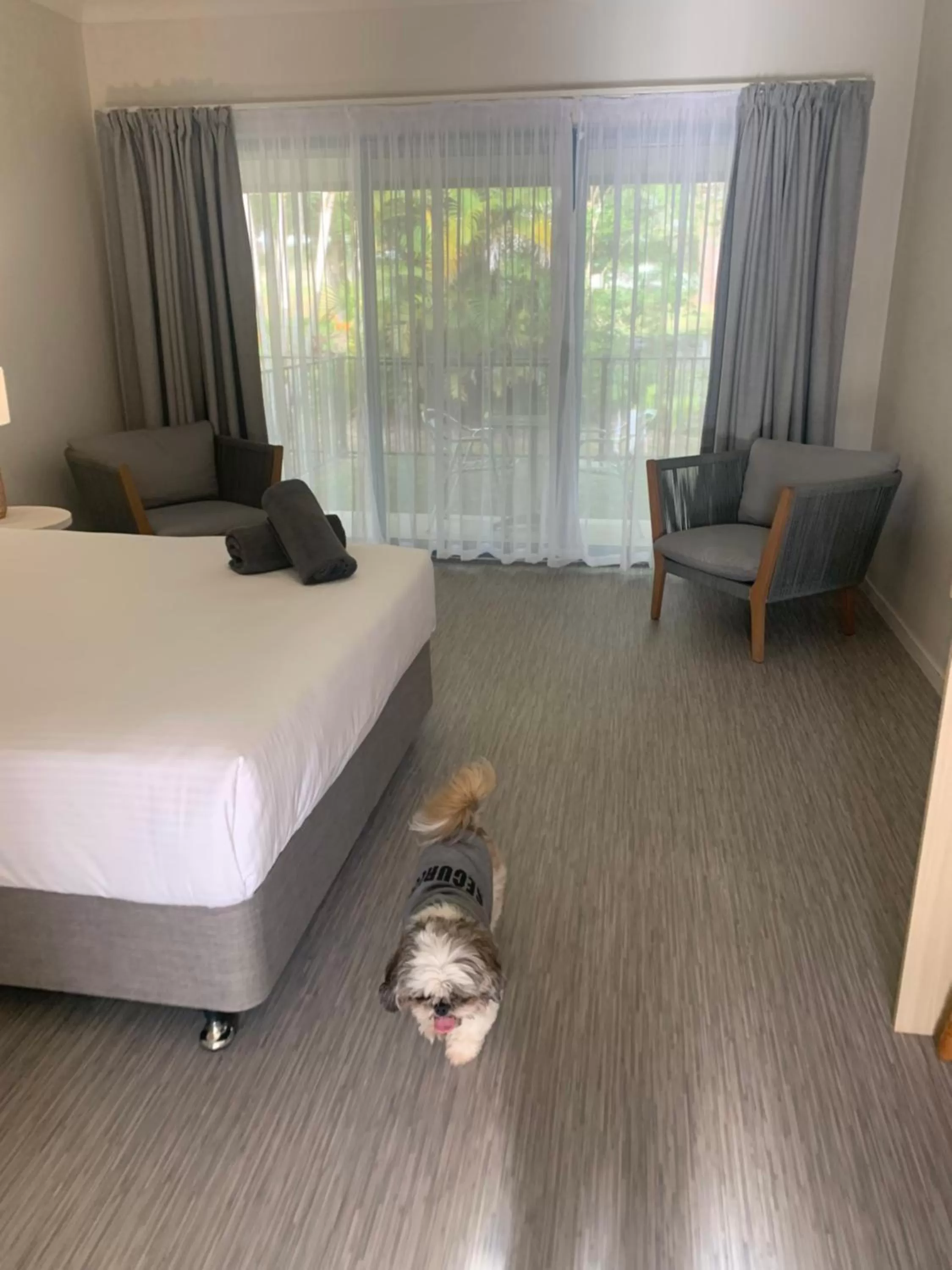 Pets, Bed in Woolgoolga Coast Motel