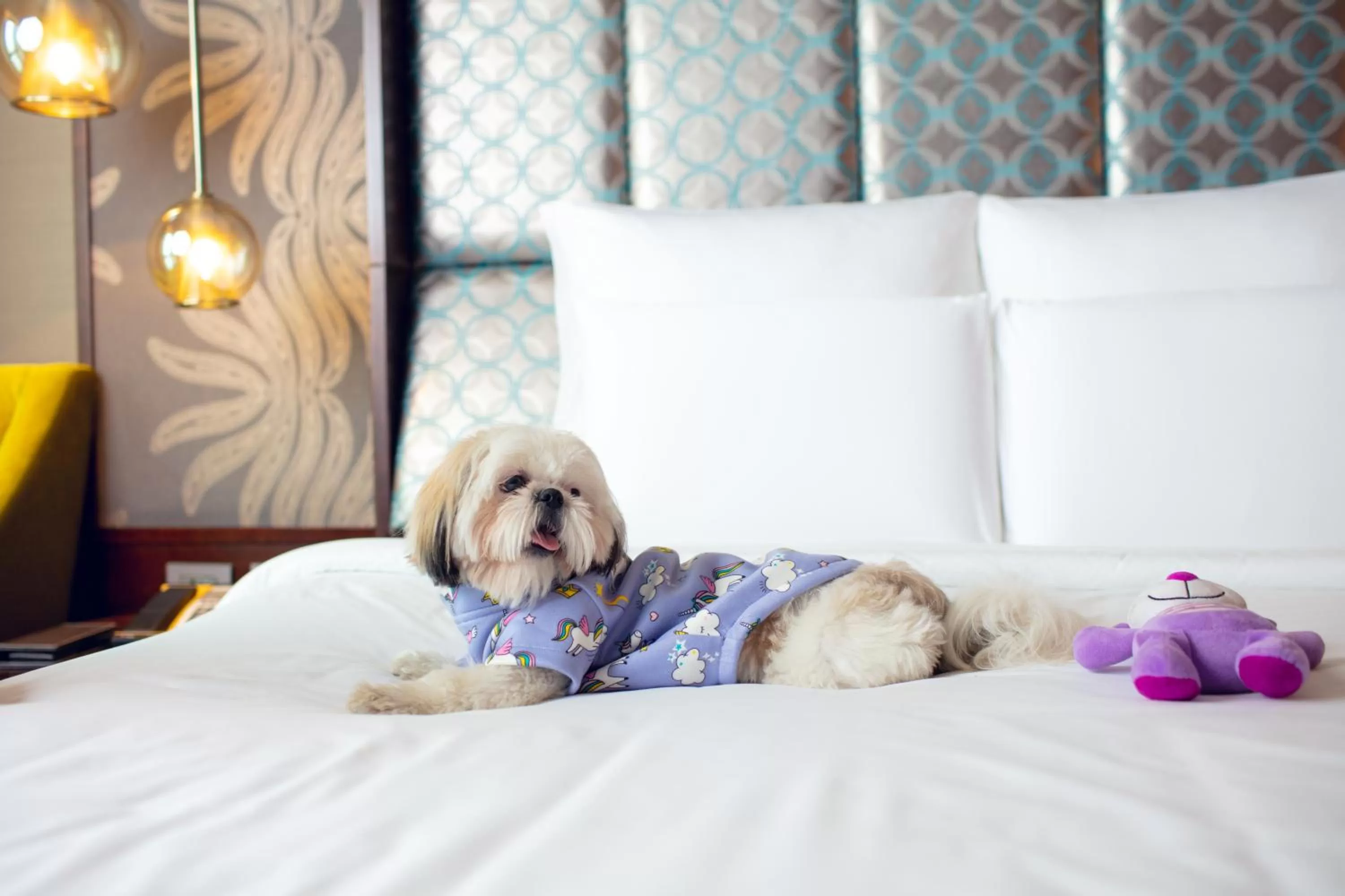 Pets, Bed in Pullman New Delhi Aerocity