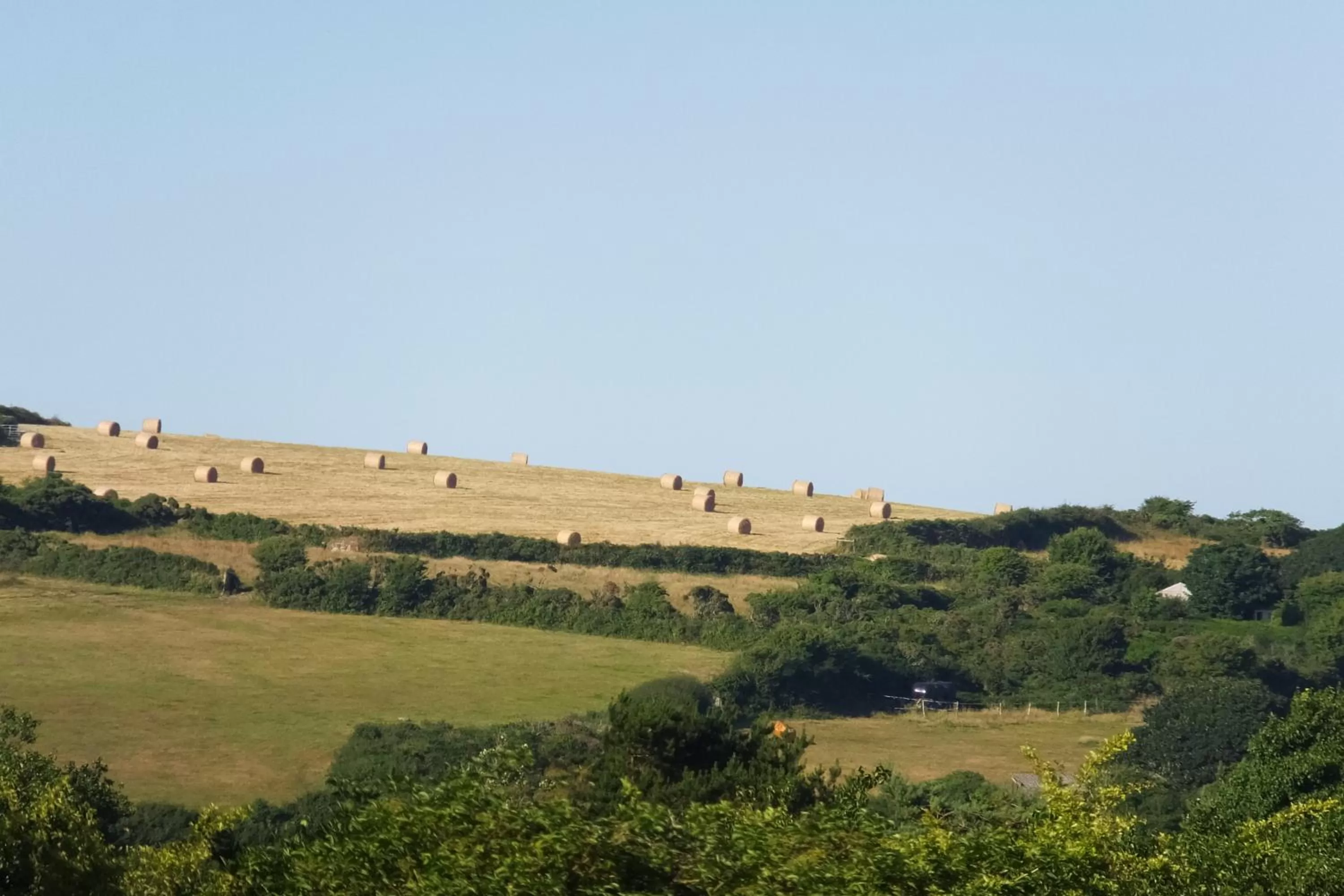 Rose Vean Bed & Breakfast