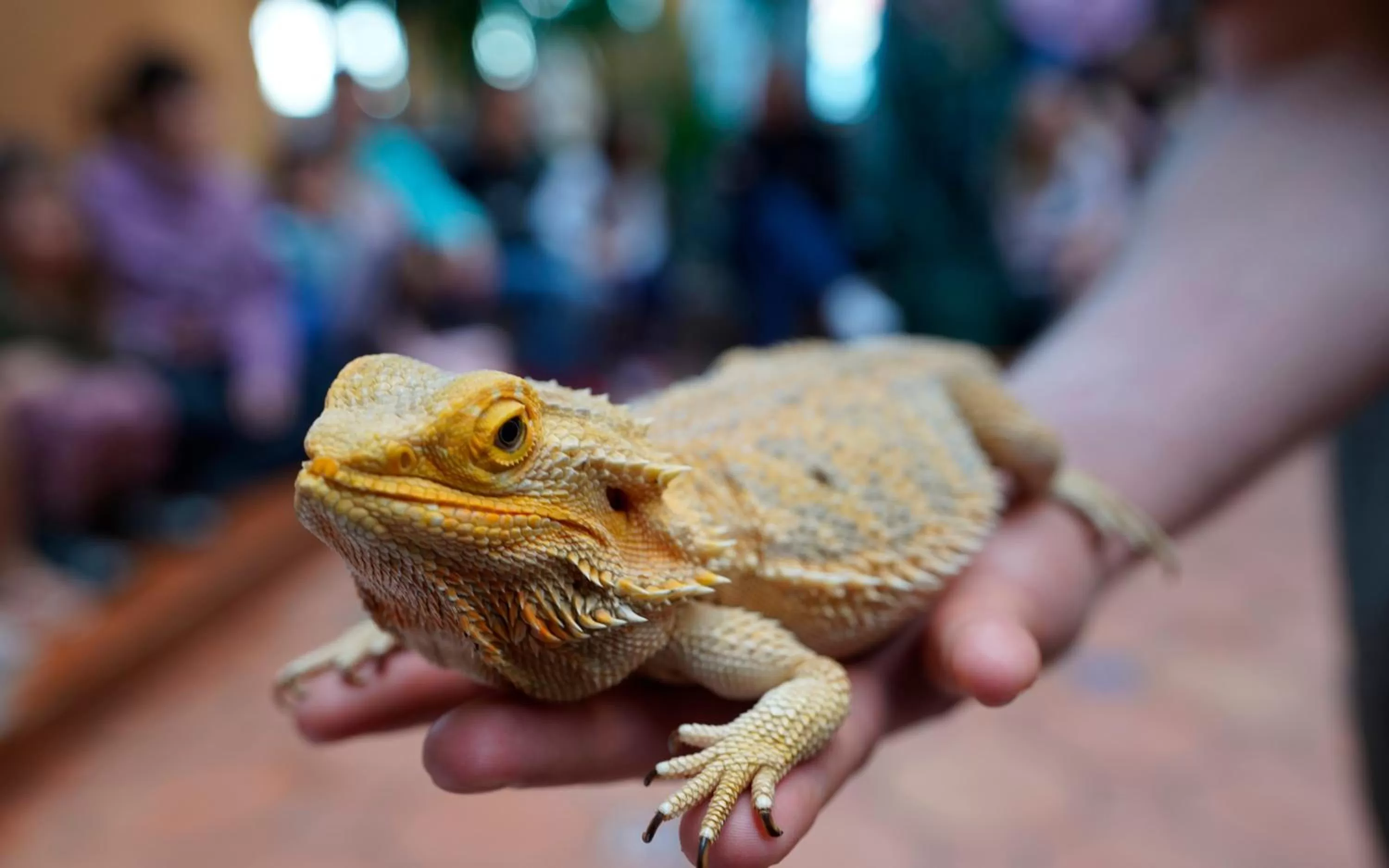 Activities in Hôtel Plaza Québec par JARO