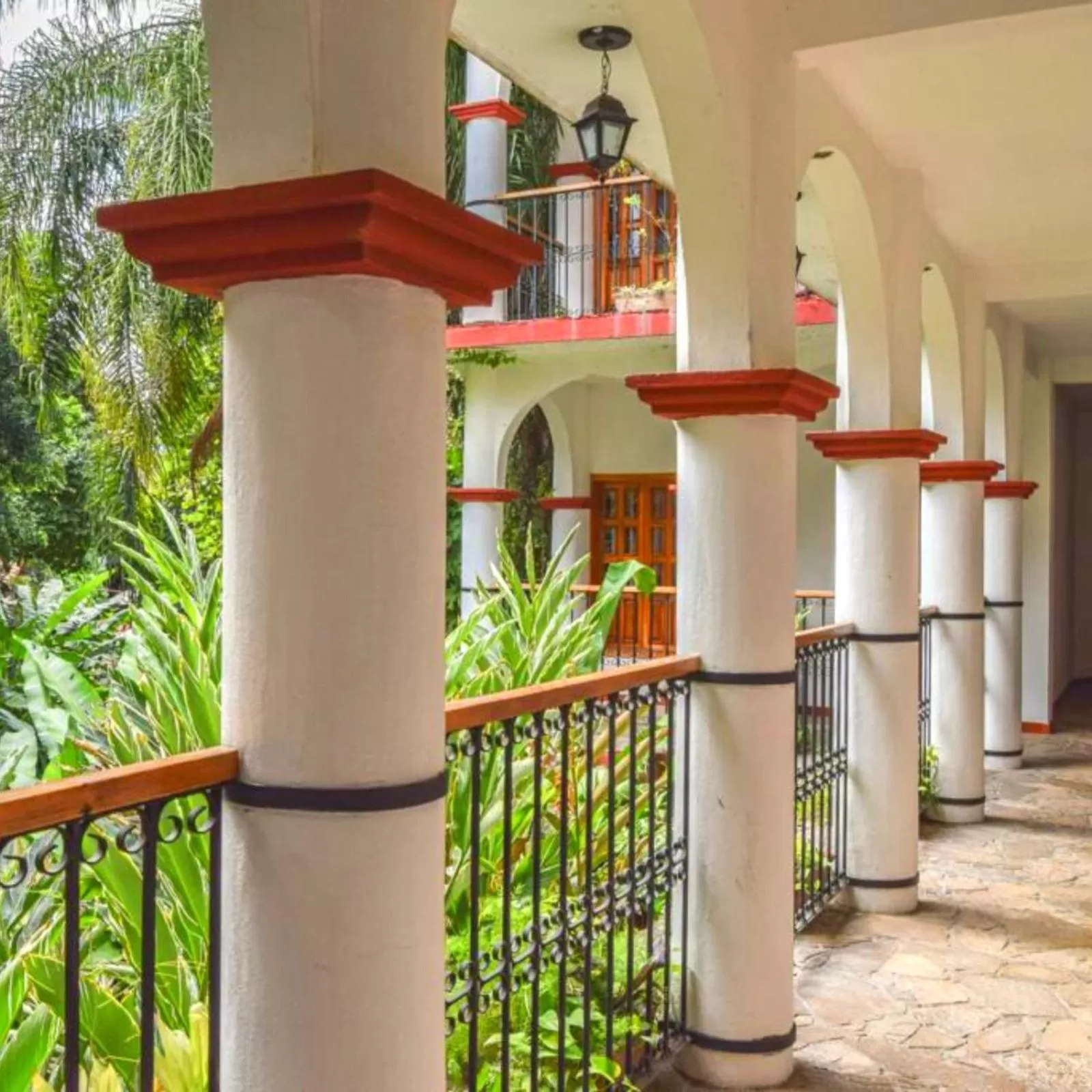 Garden in Hotel La Ceiba