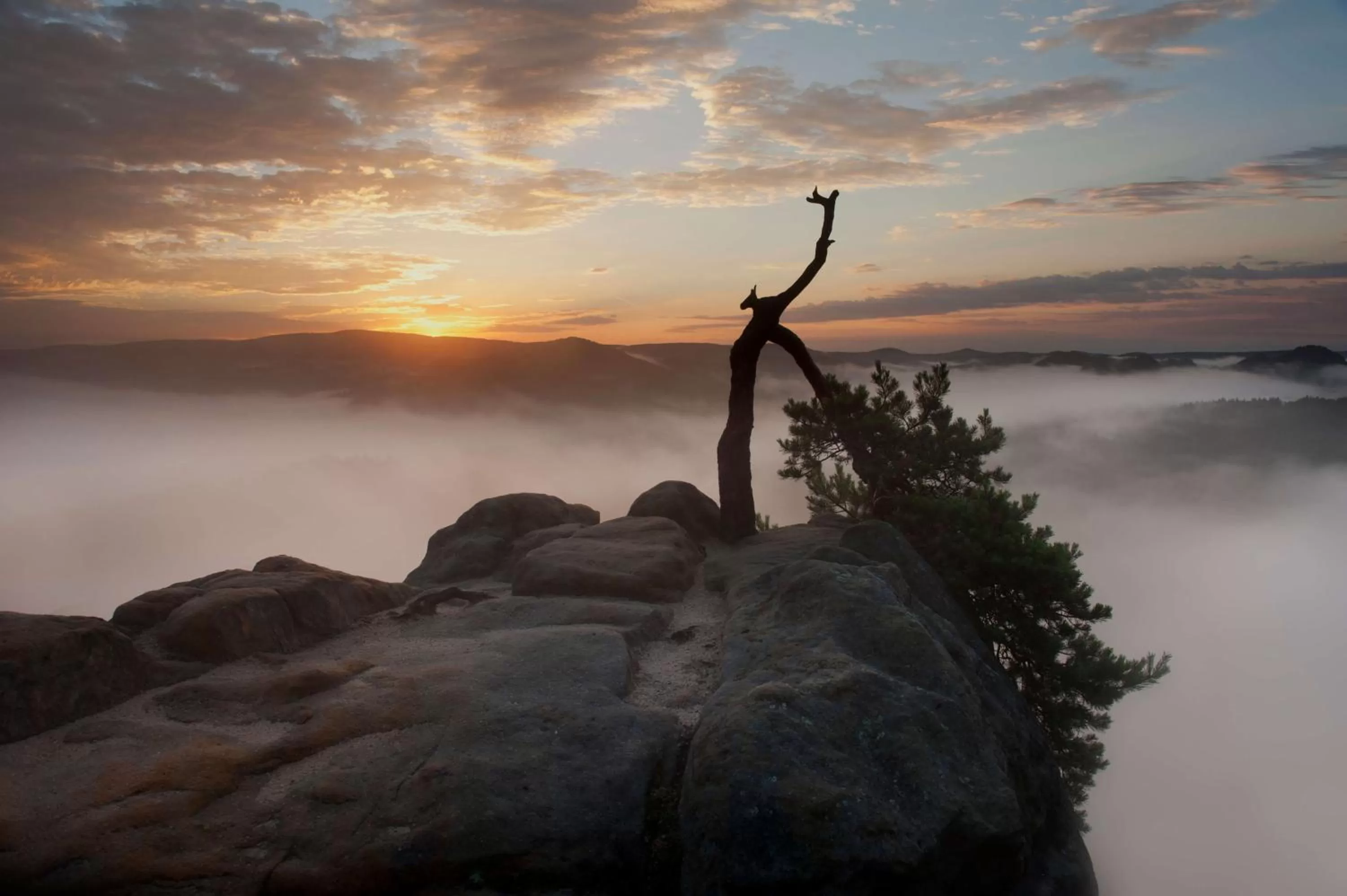 Natural landscape in QUARTIER 5 Hotel & Restaurant, Sächsische Schweiz