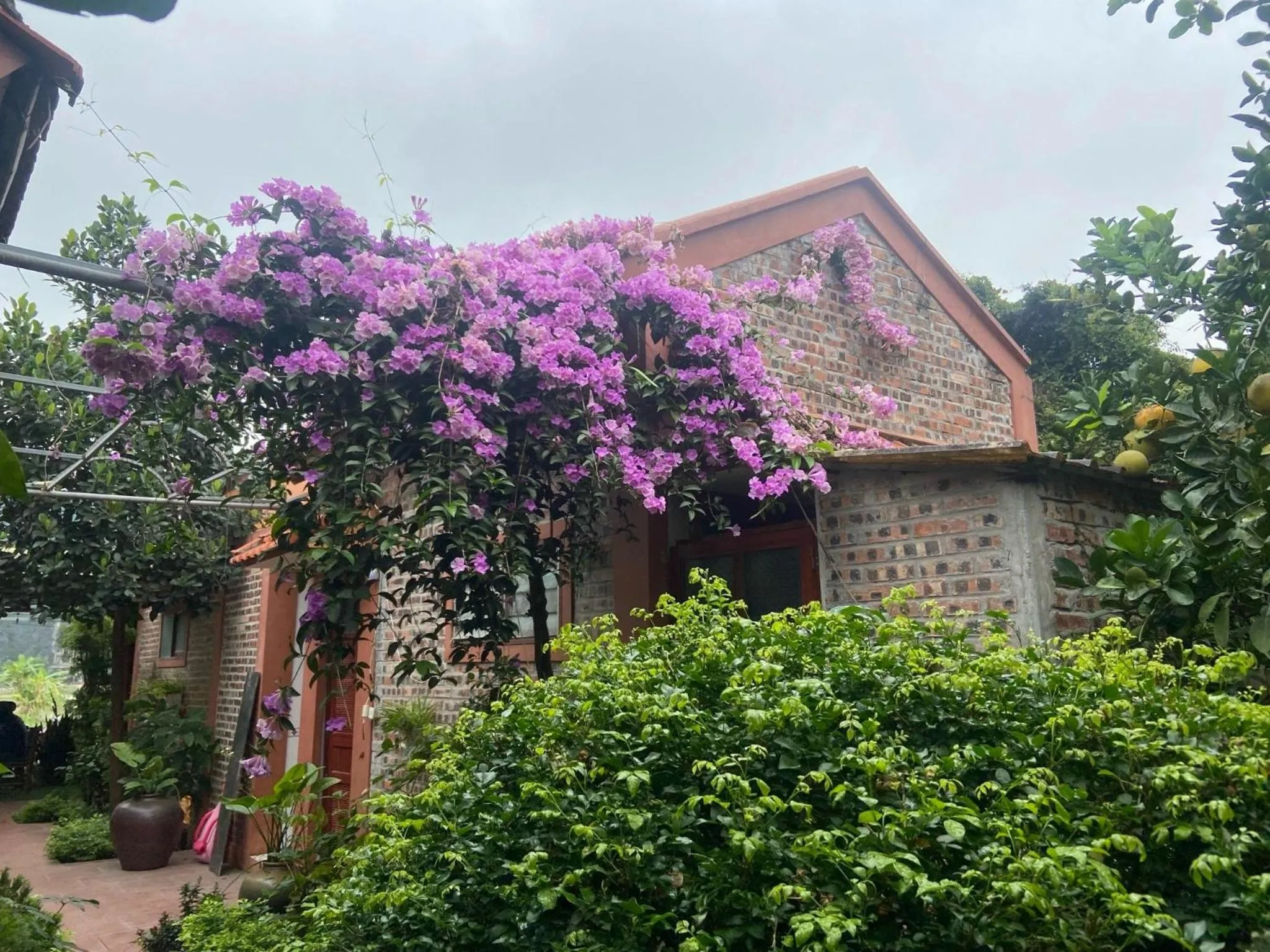 Property Building in Tam Coc Mountain View Homestay