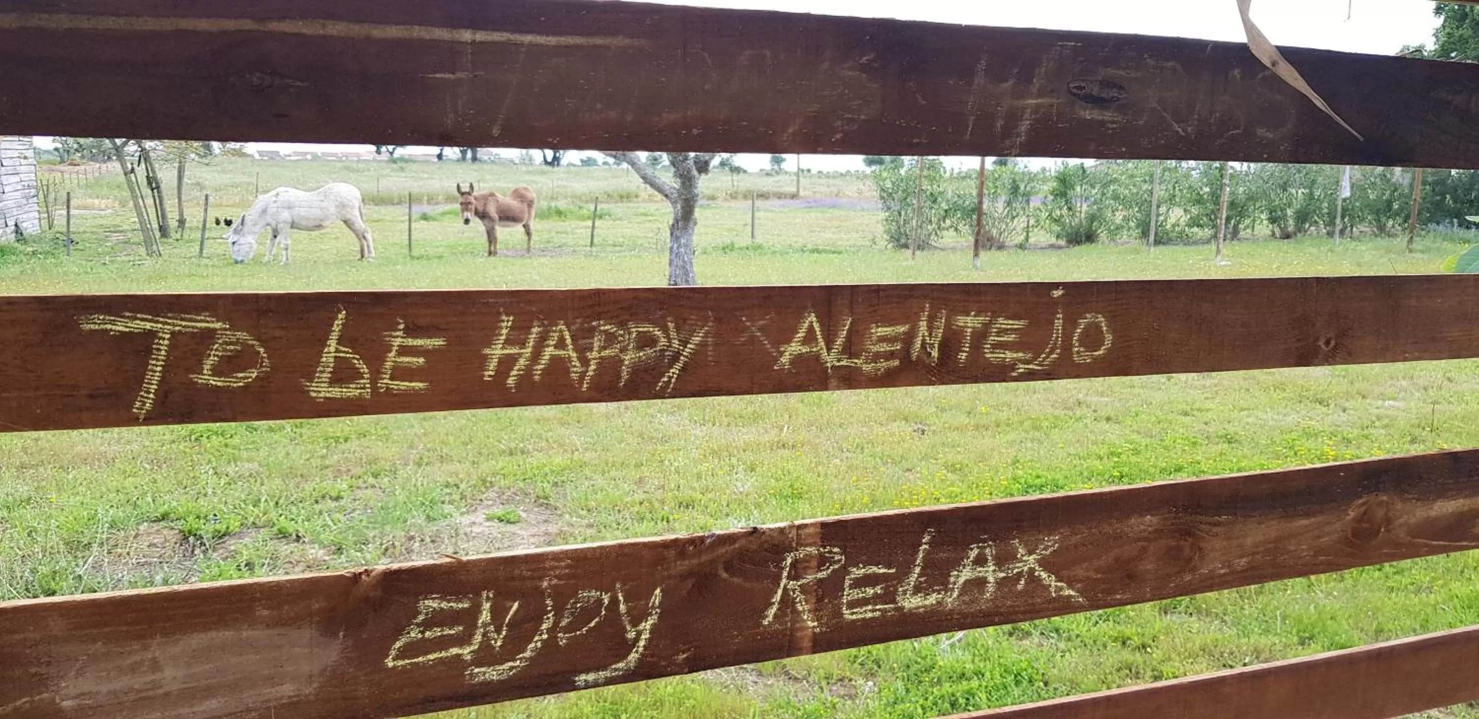 Trendy and Luxe B&B and Garden Suite