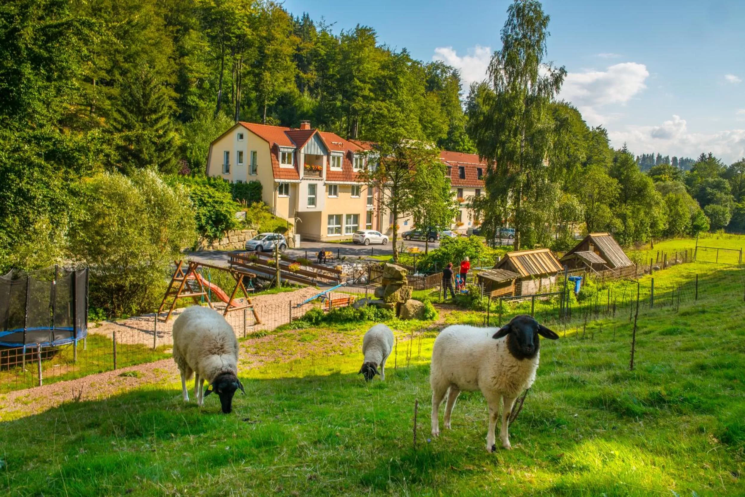 Facade/entrance in Hotel Waldmühle