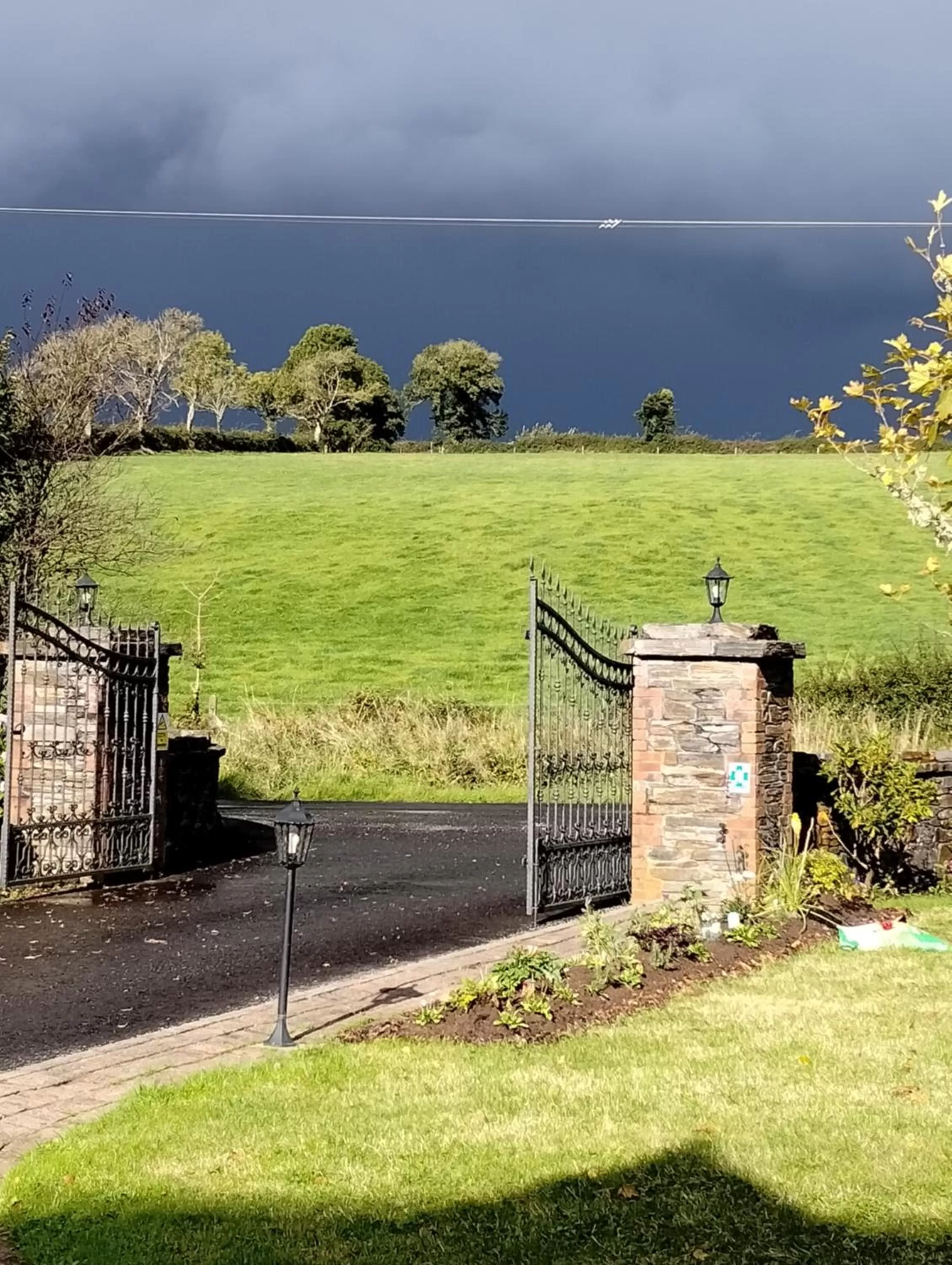 Spring in Rossclare Lodge