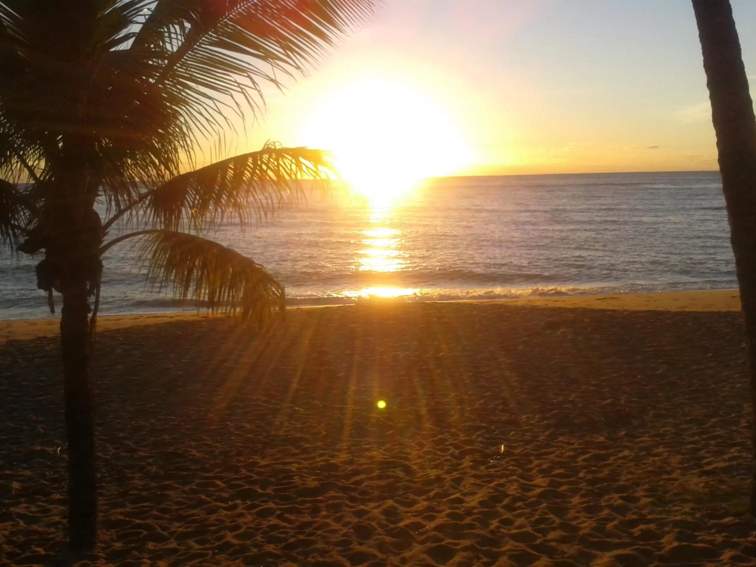 Beach in Bellevue At Trinity Beach