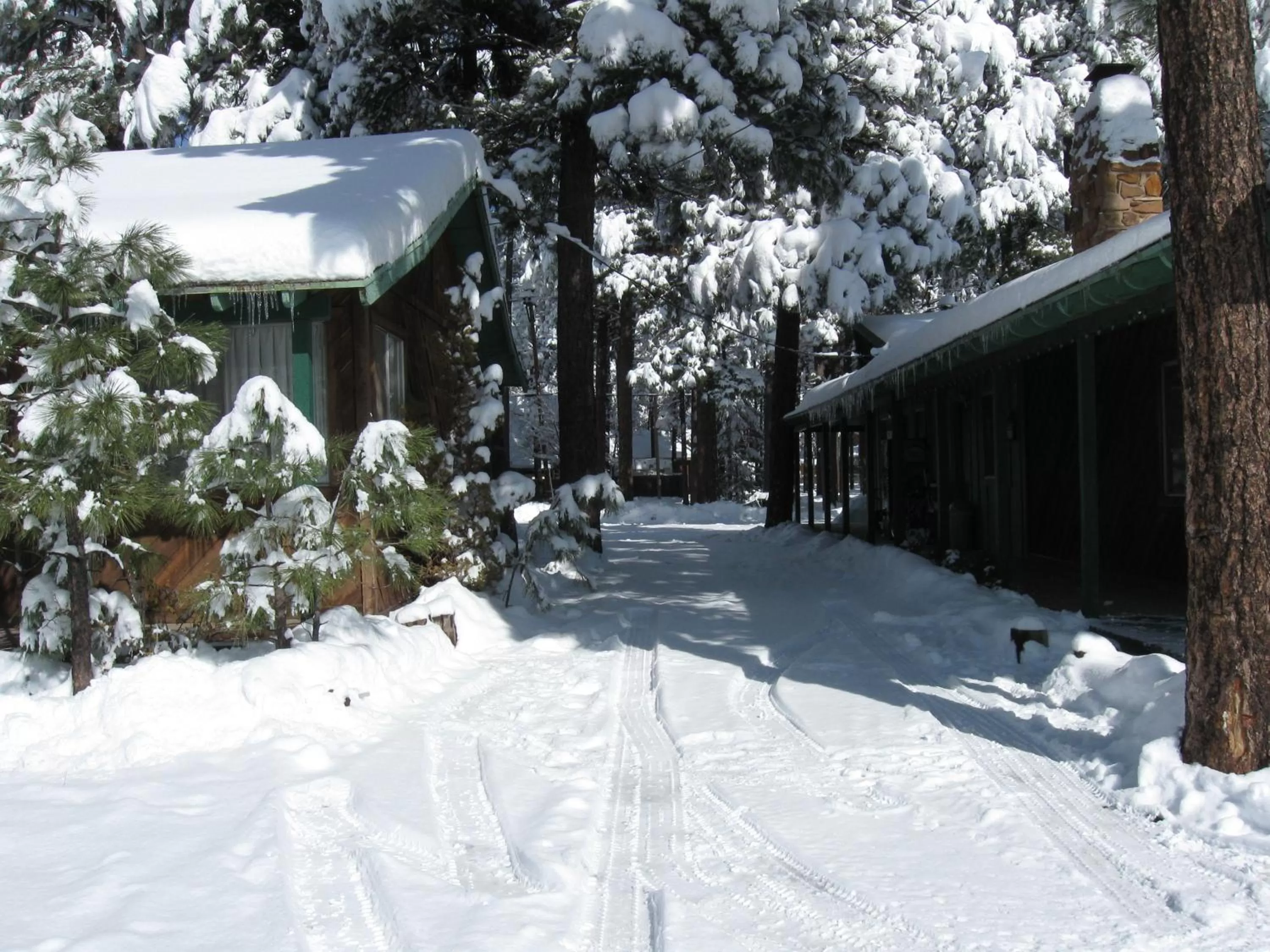 Facade/entrance, Winter in TimberLodge Inn