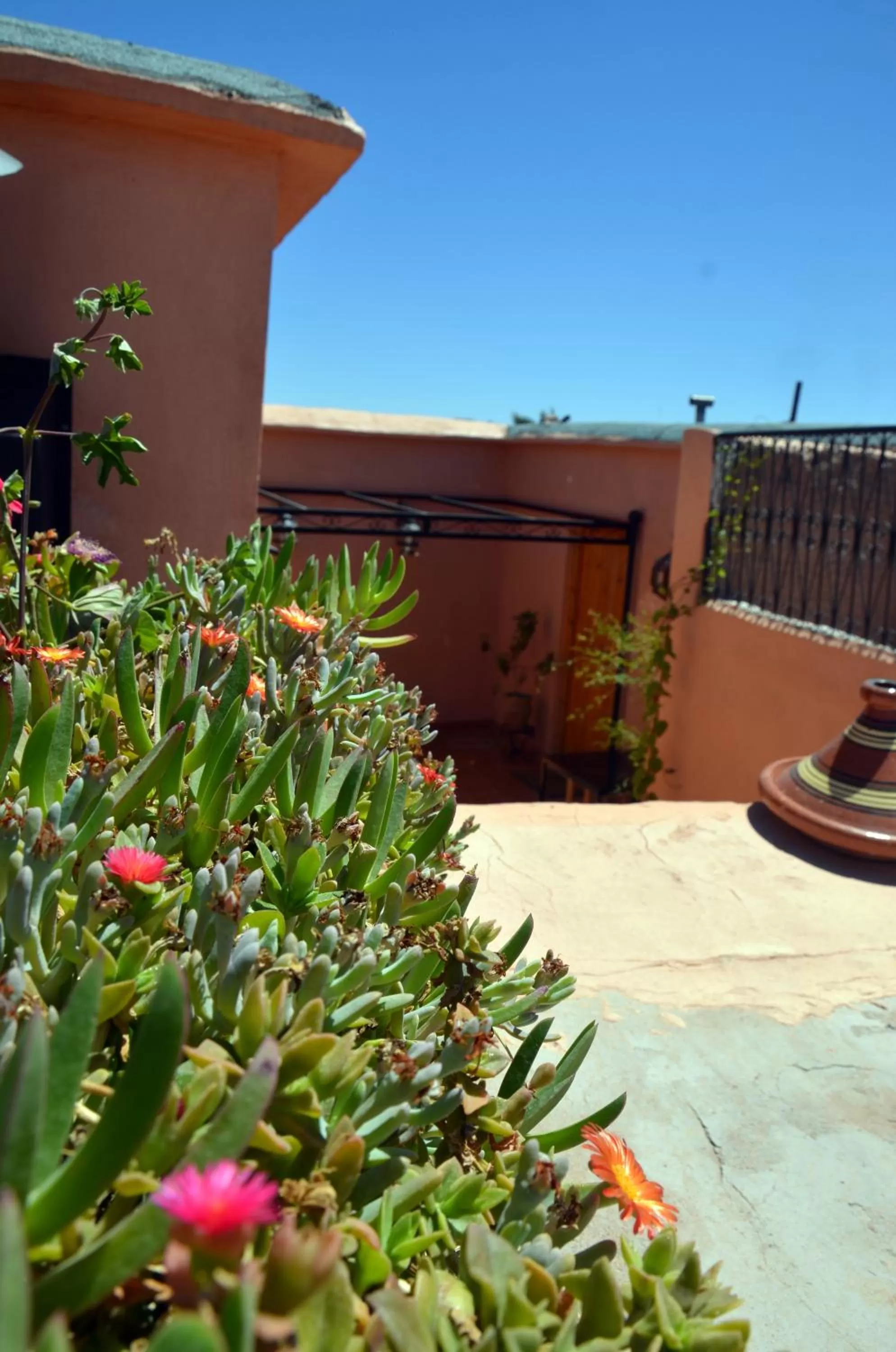 Balcony/Terrace in Maison d'hôtes Dar El Nath