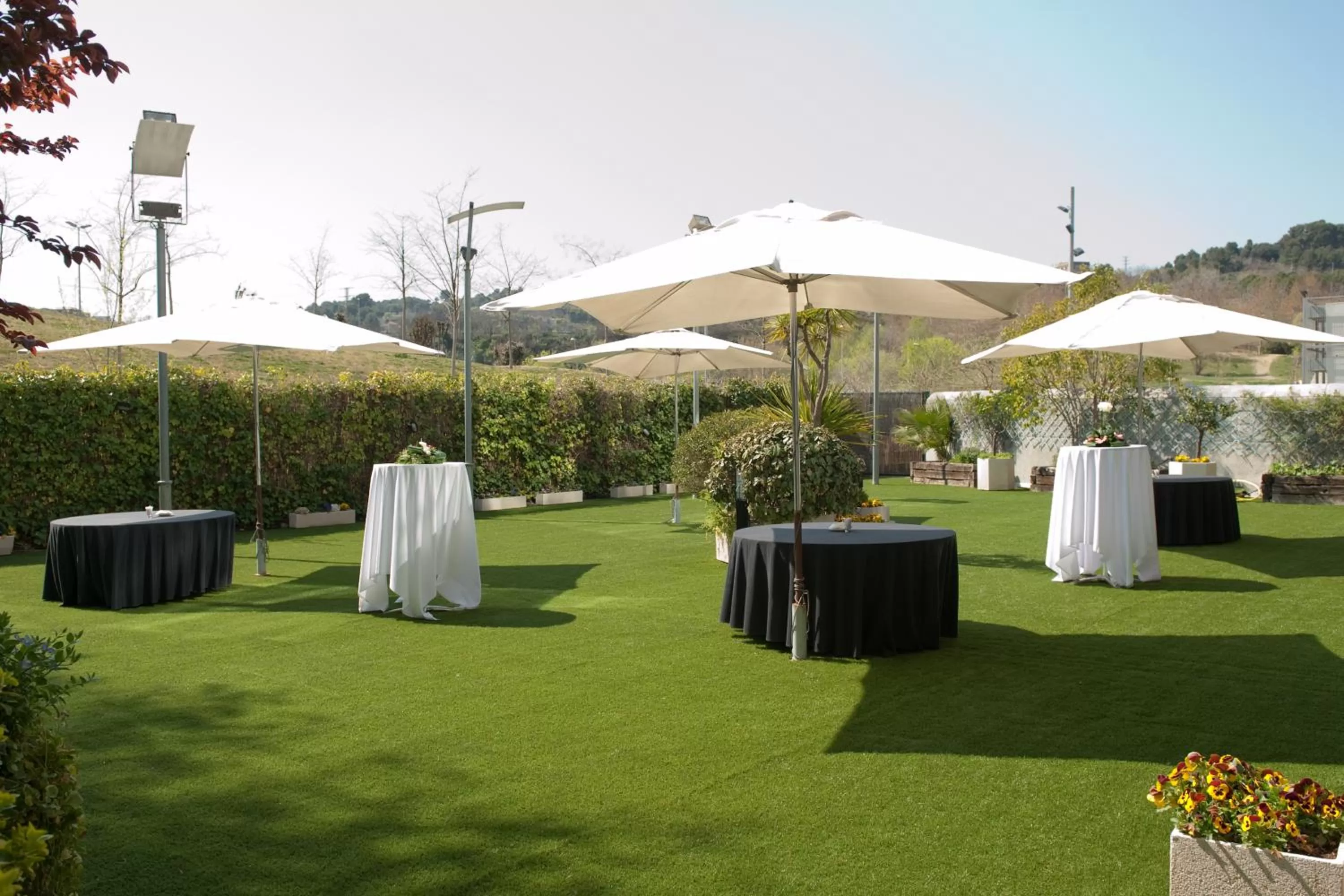 Garden in Eurostars Don Cándido