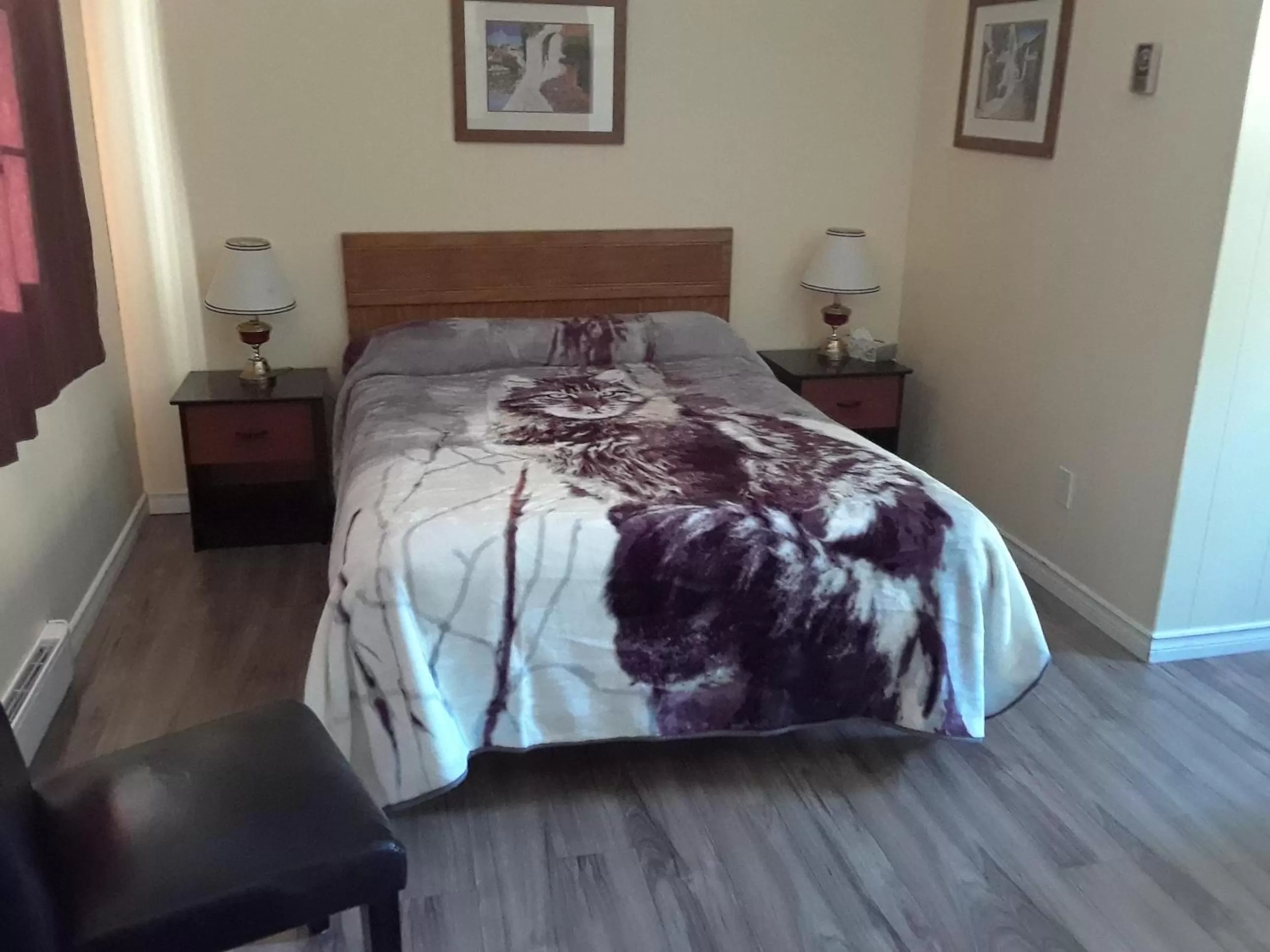 Bed in Mountain View Motel