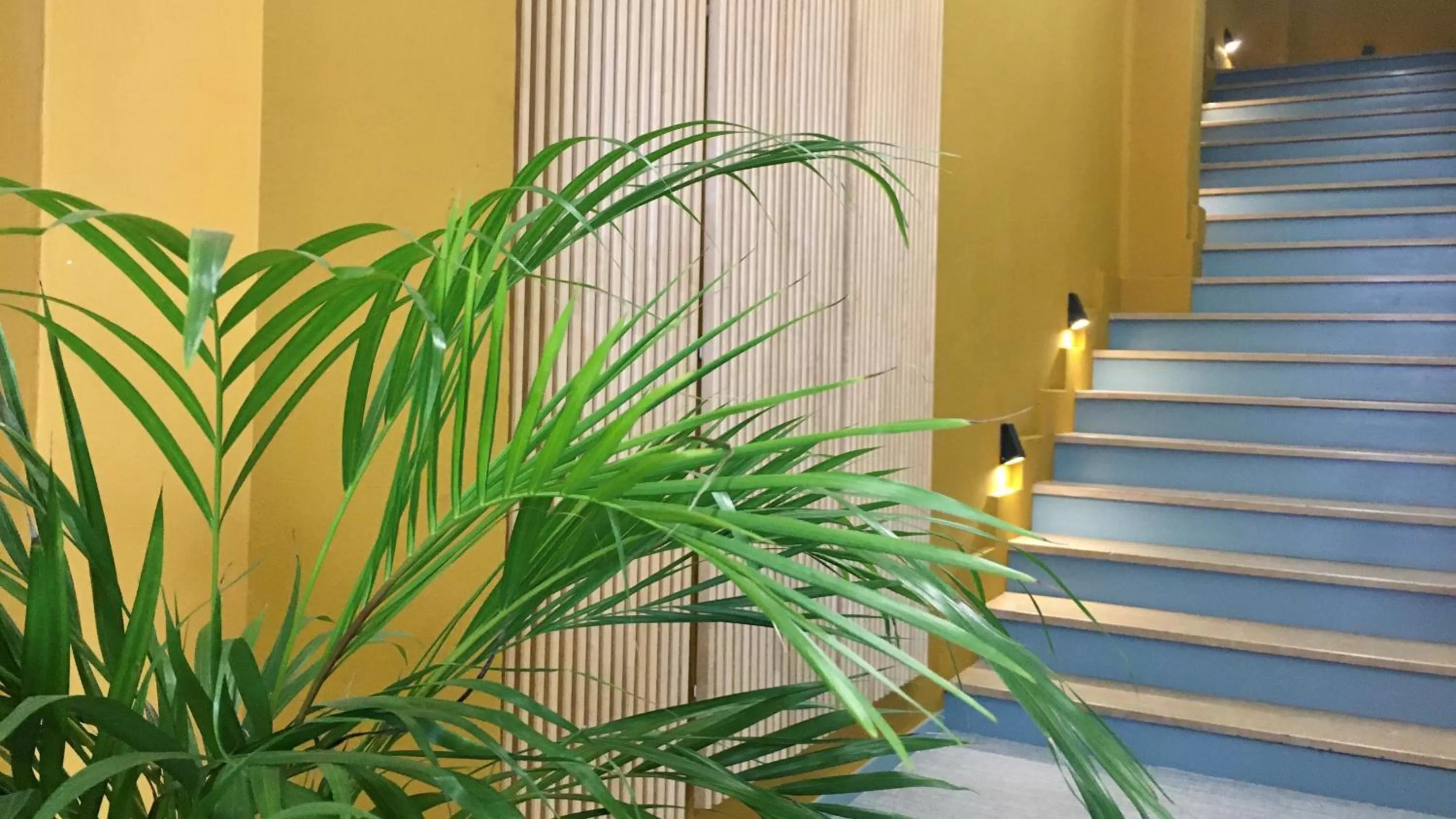 Property building in MD Modern Hotel - Jardines