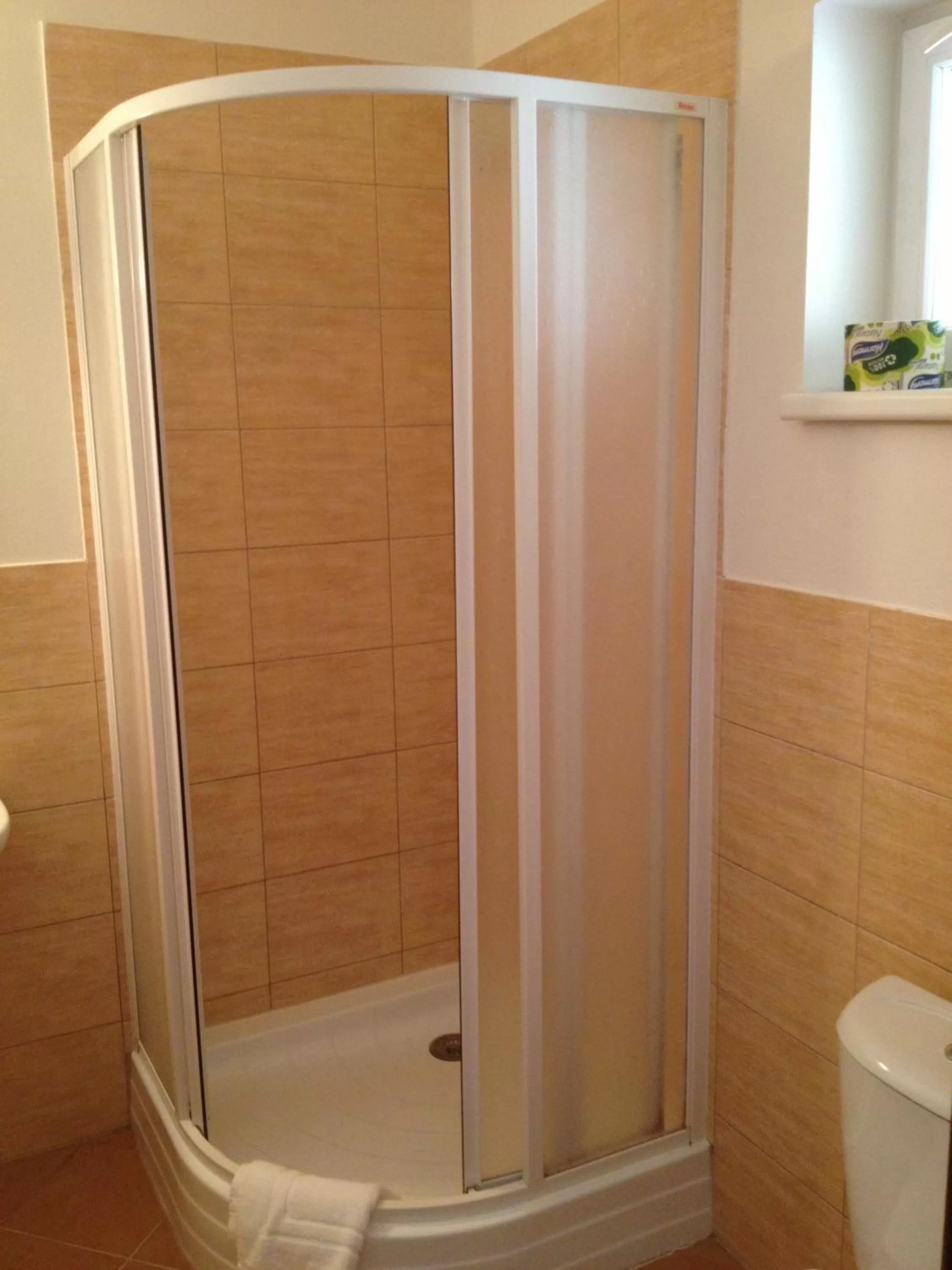 Shower, Bathroom in Hotel Sport Mlada Boleslav