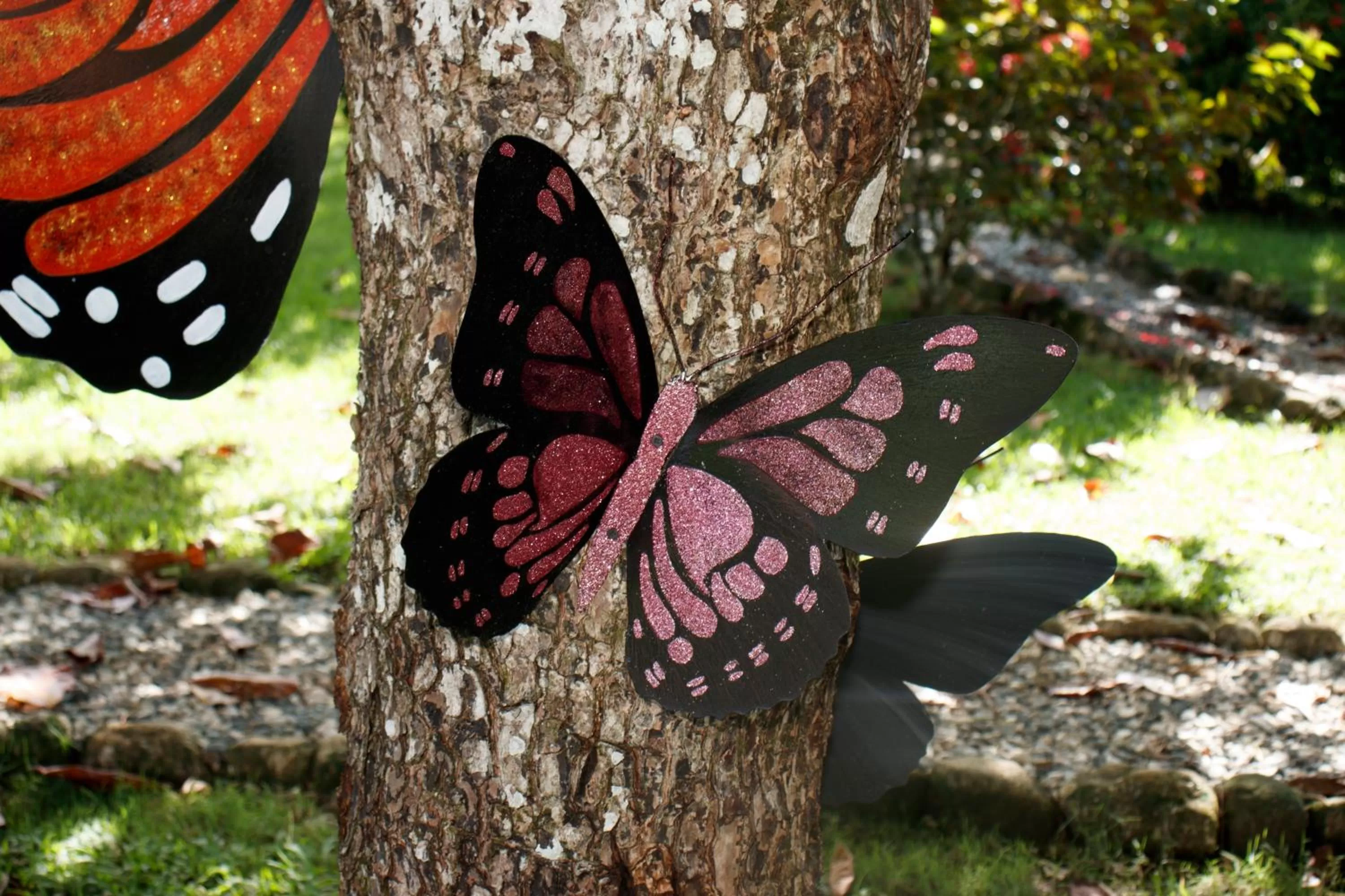 Garden view in Hotel Samoa del Sur