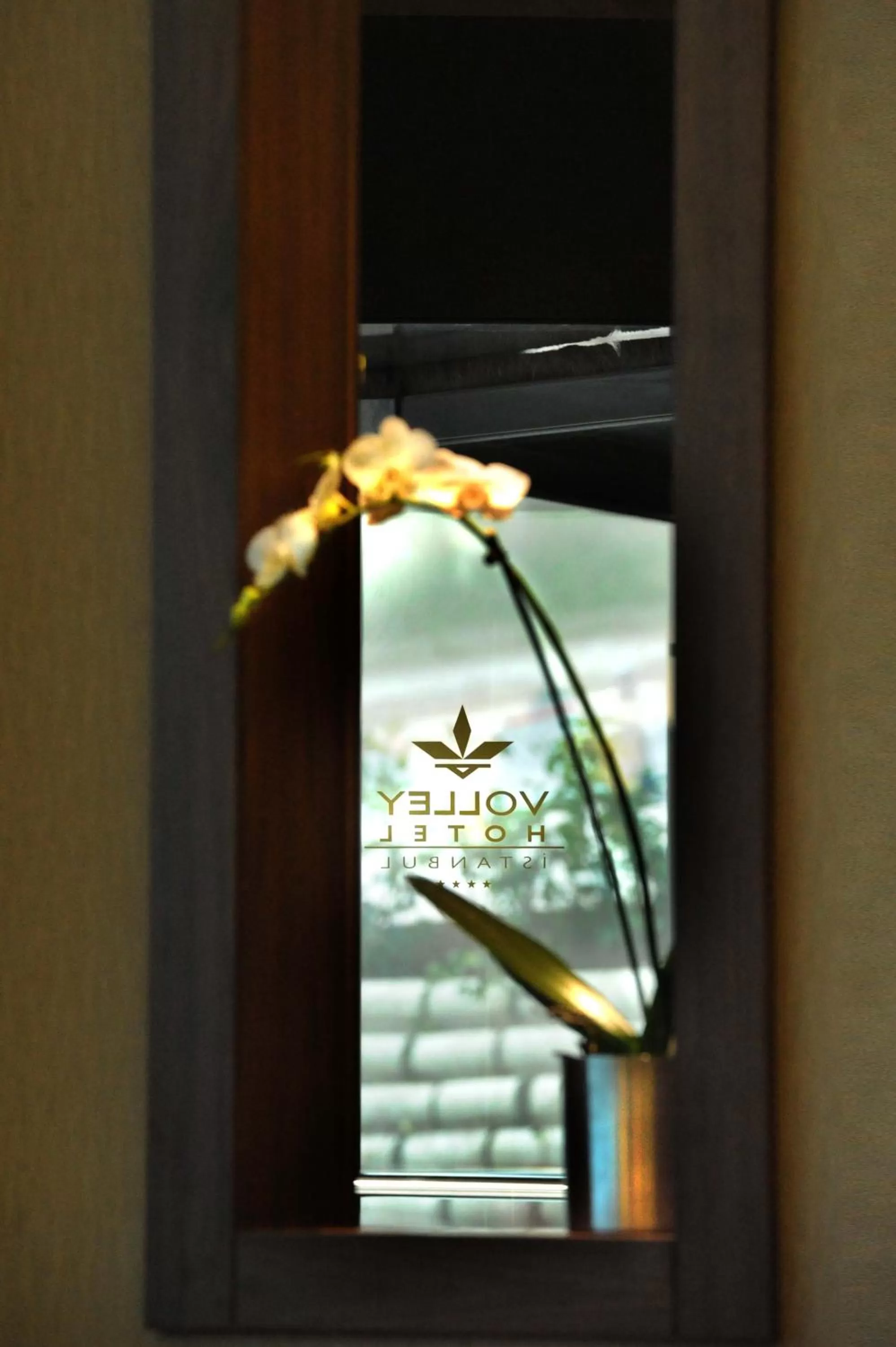 Other in Volley Hotel Istanbul