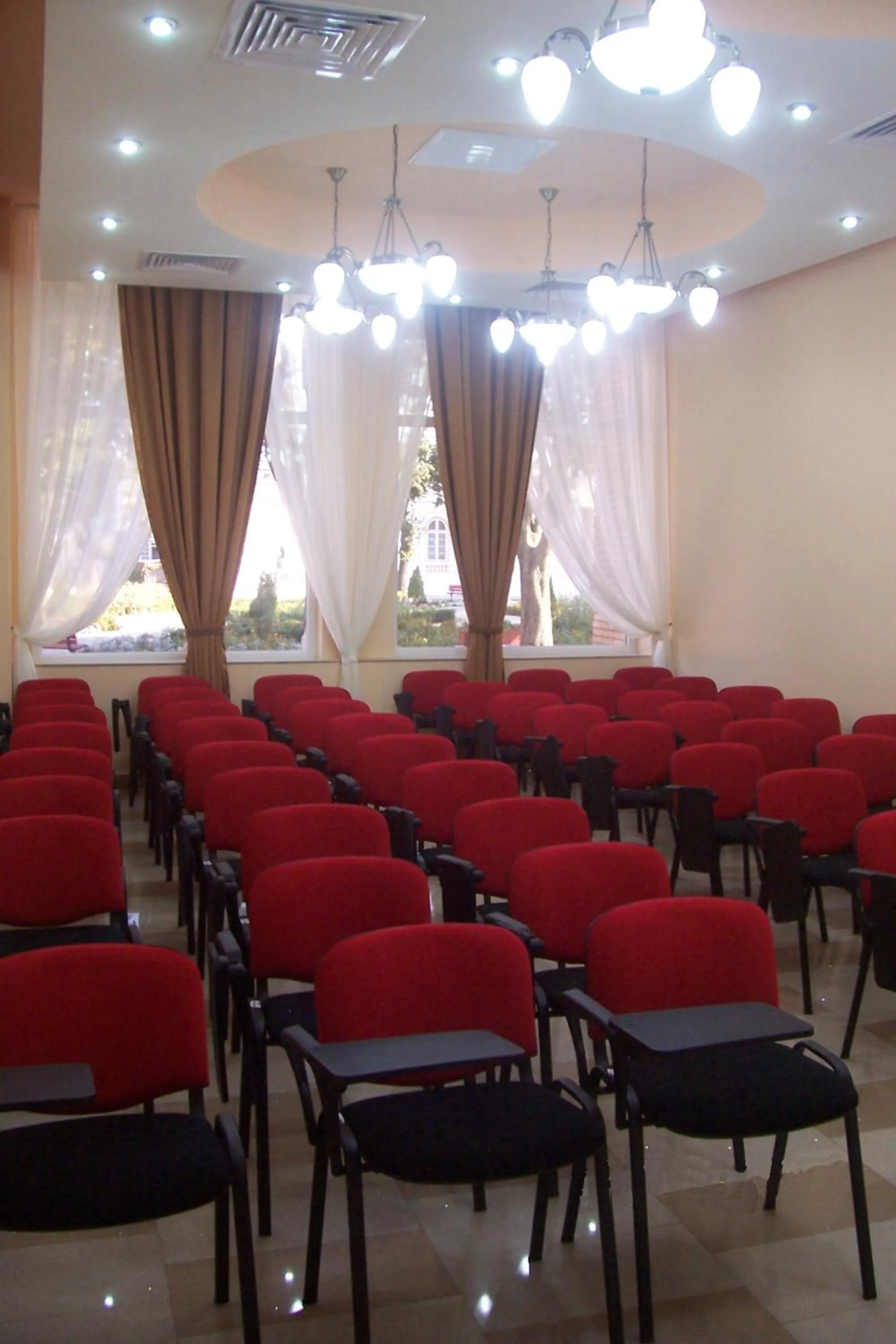 Business facilities in Hotel Traian
