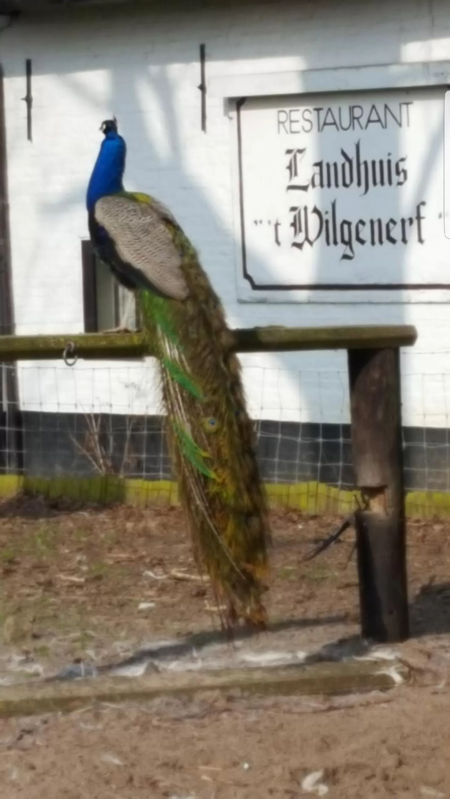 Property logo or sign in Hotel Landhuis 't Wilgenerf