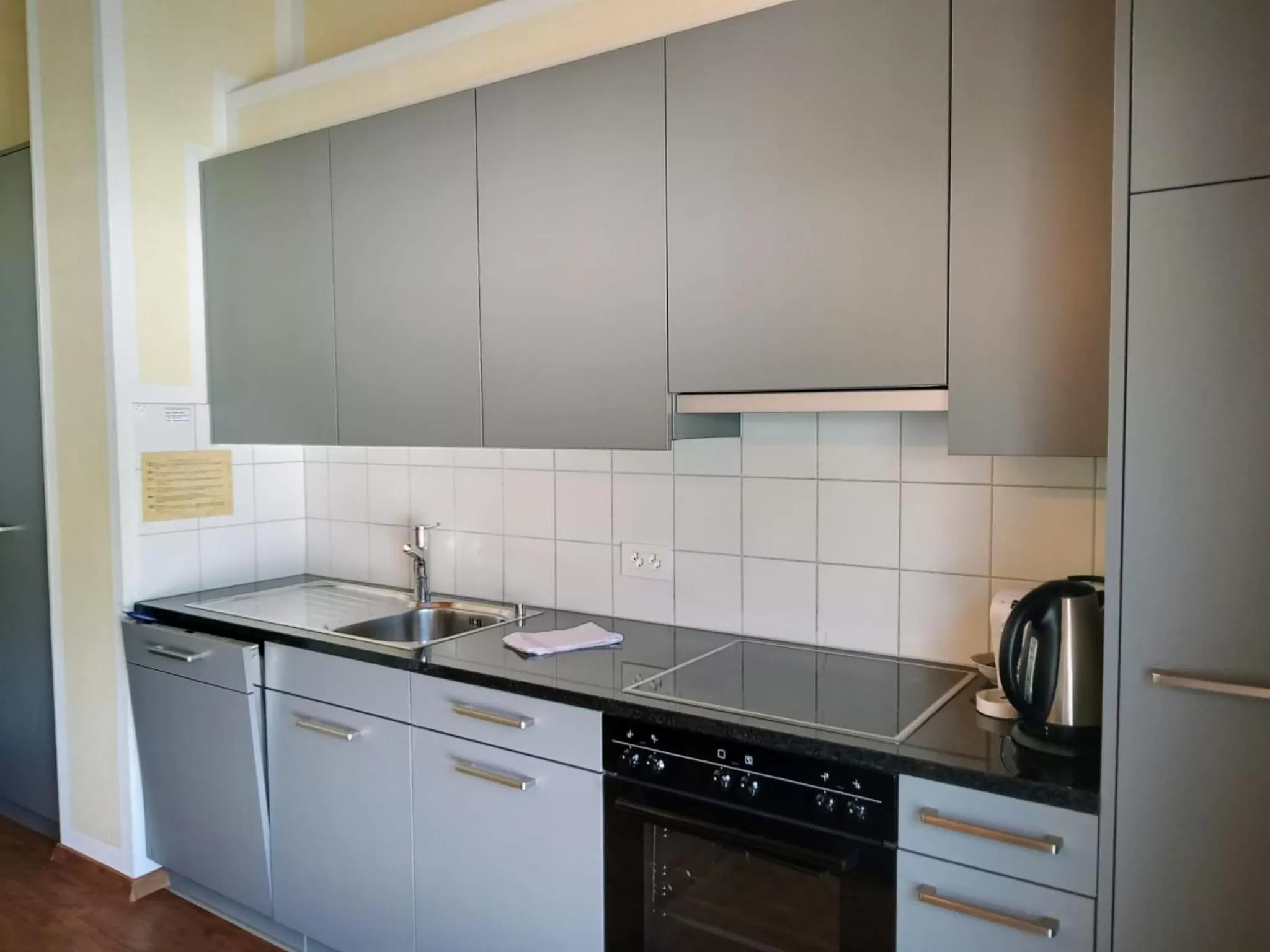 Kitchen or kitchenette in Aladin Apartments St Moritz