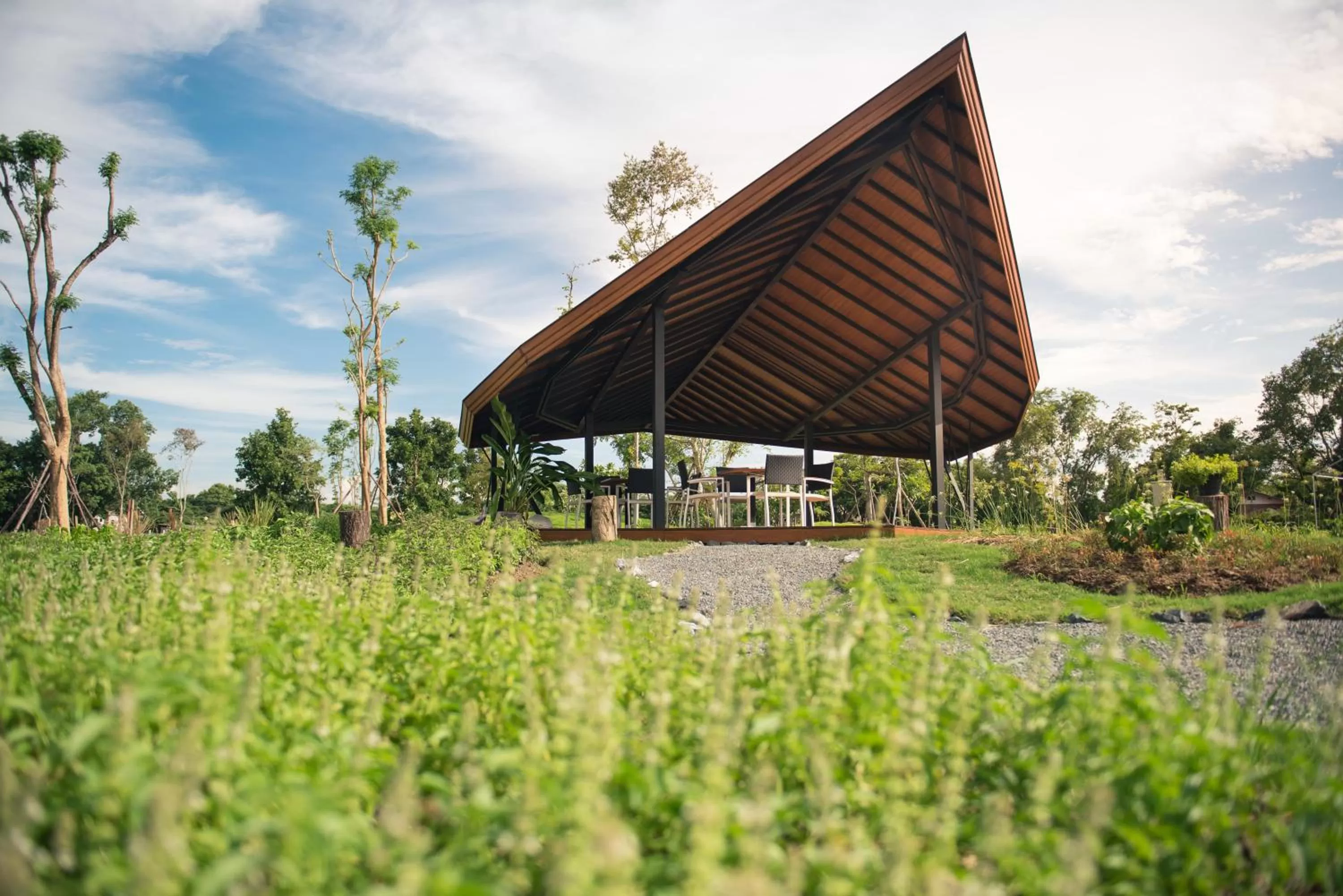 Activities in North Hill City Resort