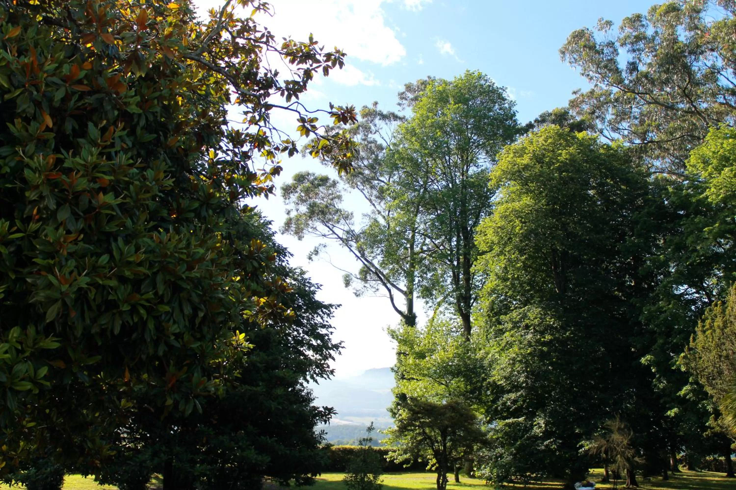 Garden view in HOTEL BOUTIQUE VILLA DEL MARQUÉS