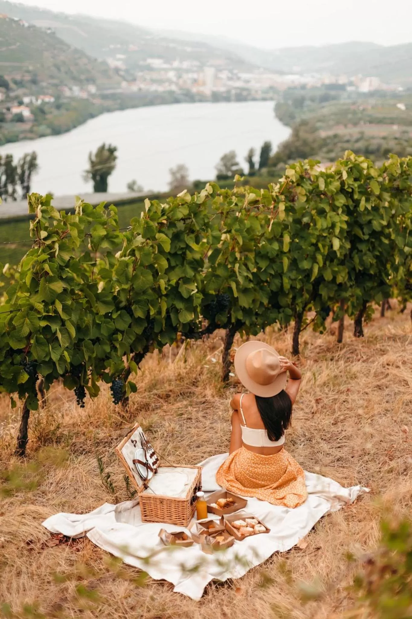 Nearby landmark in Lamego Hotel & Life